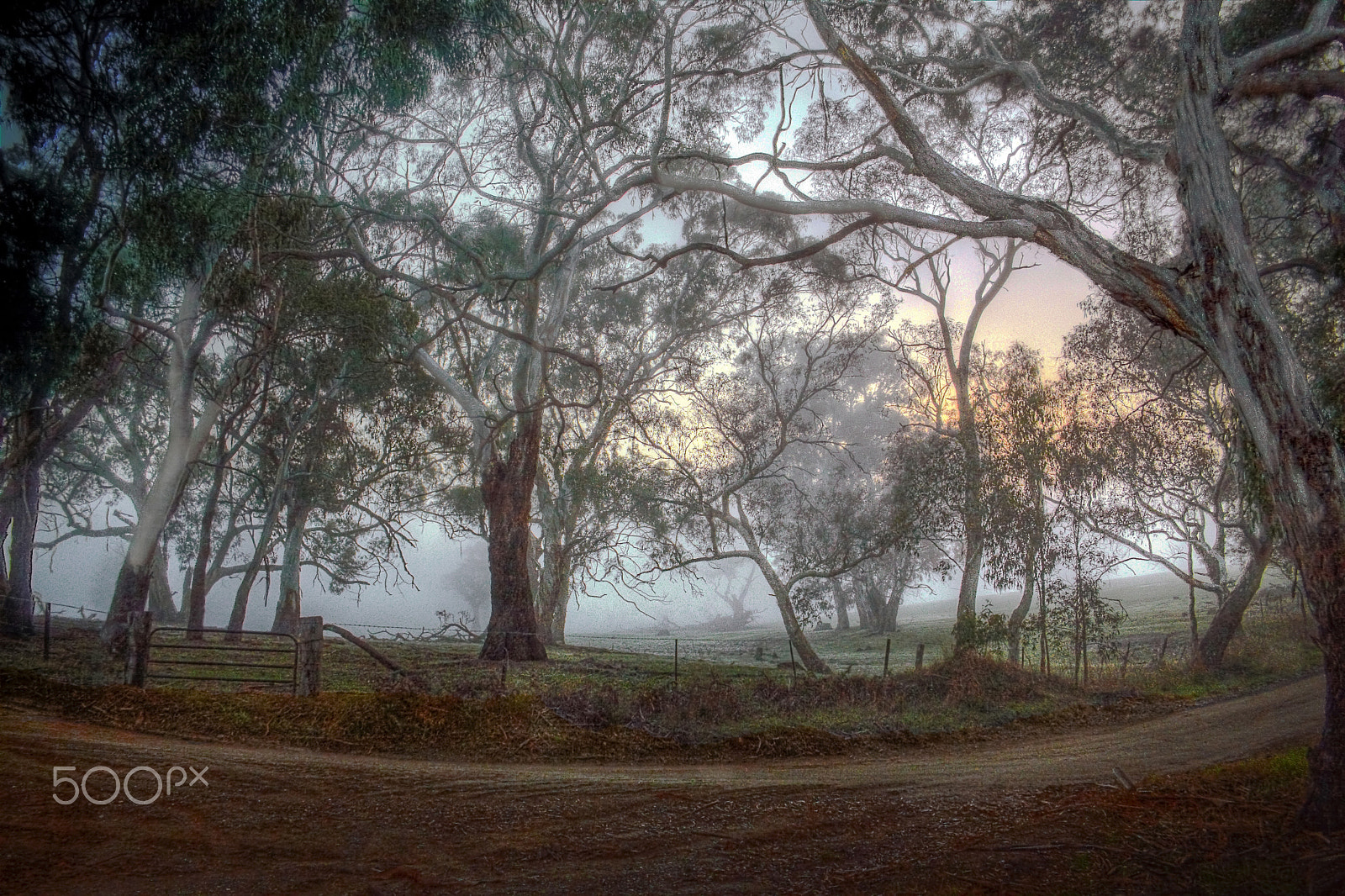 Canon EF-S 18-55mm F3.5-5.6 II sample photo. Misty sunrise, monkhouse road, woodside, south australia photography