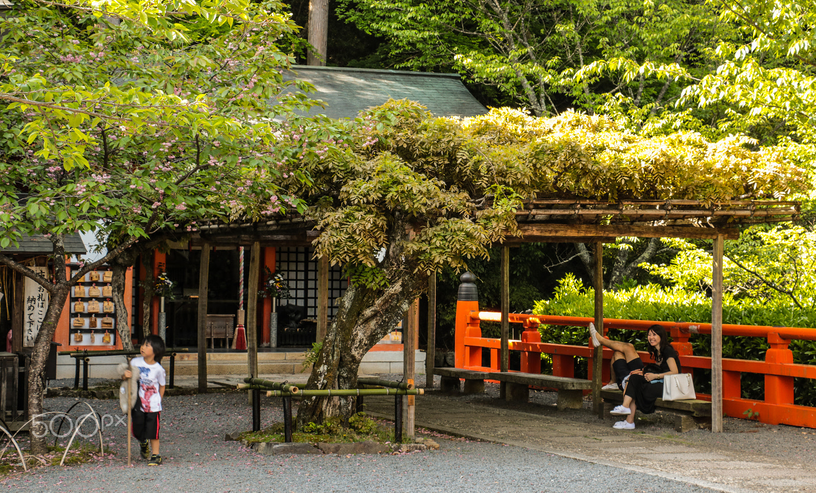 Canon EOS 760D (EOS Rebel T6s / EOS 8000D) + Canon EF-S 18-135mm F3.5-5.6 IS STM sample photo. Kurama's life scenery photography