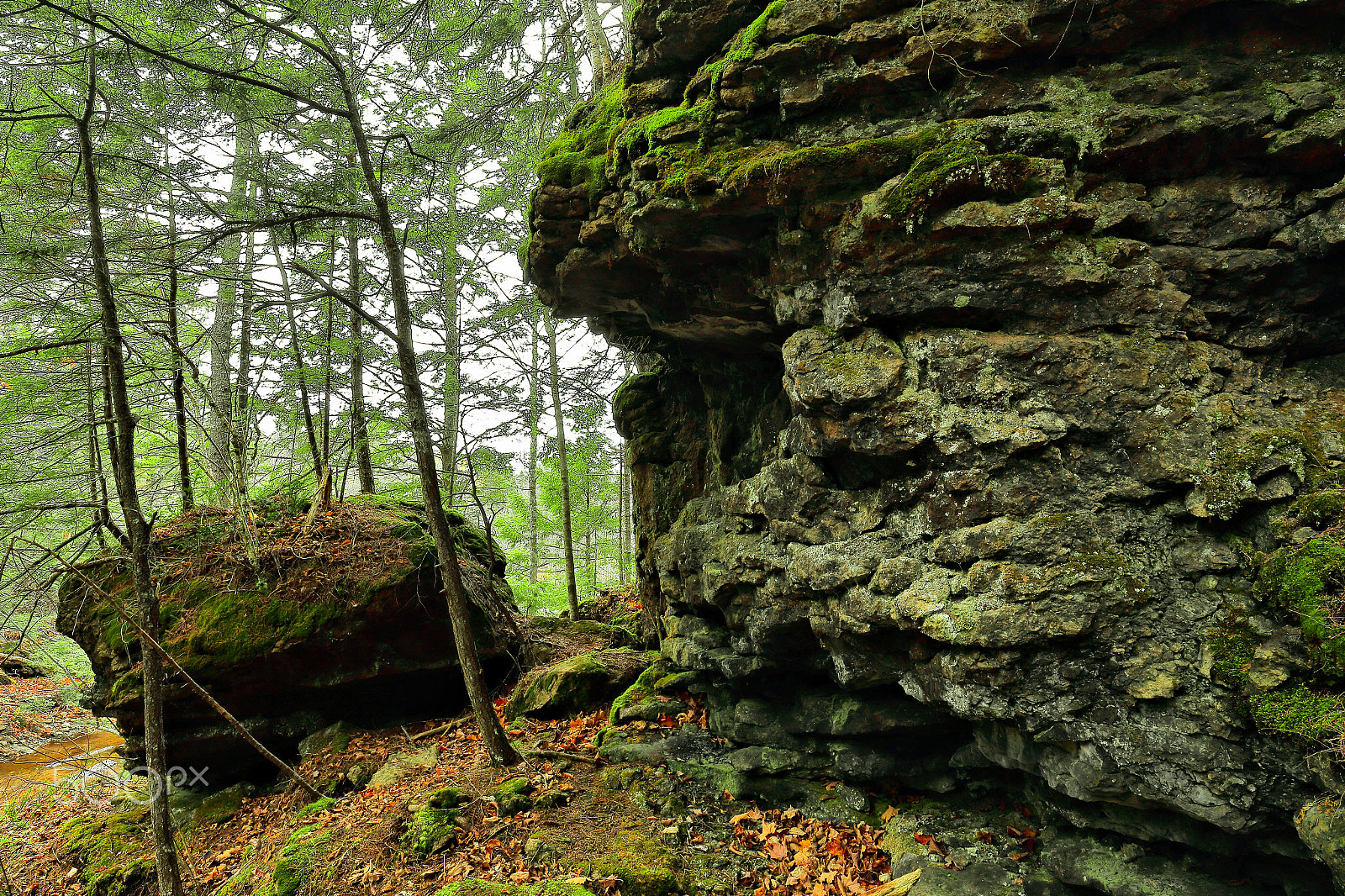 Canon EF 16-35mm F4L IS USM sample photo. Mysterious rocks in the forest photography