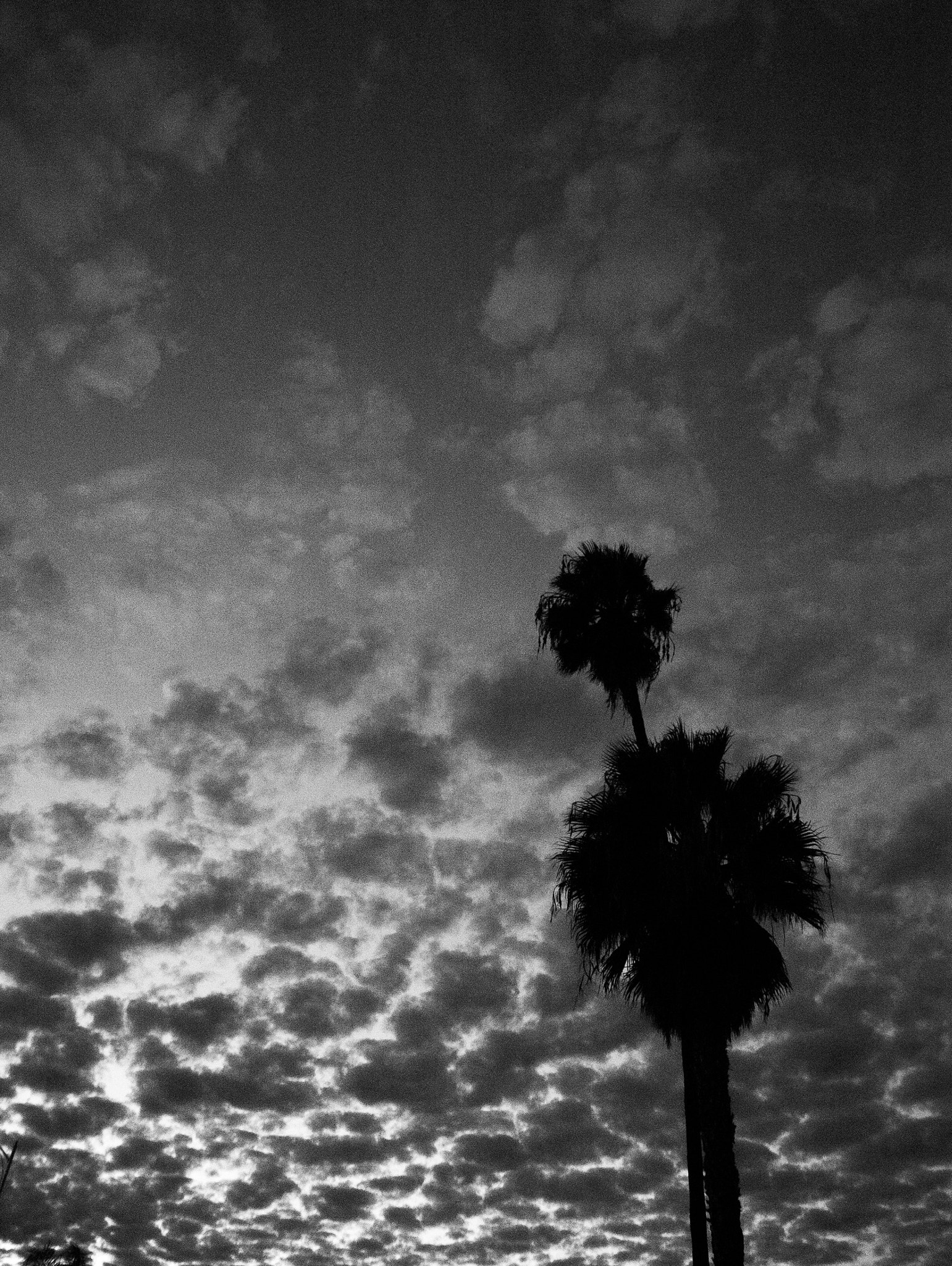 Leica DIGILUX 2 sample photo. L photography