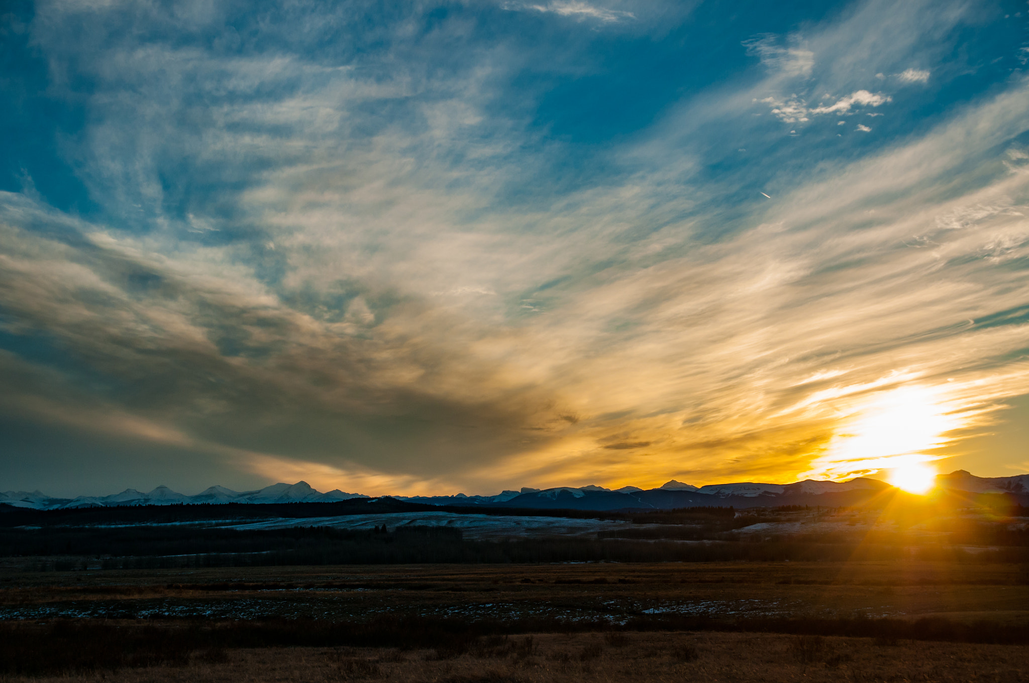 Sigma 17-70mm F2.8-4 DC Macro OS HSM sample photo. Calgary, ab photography