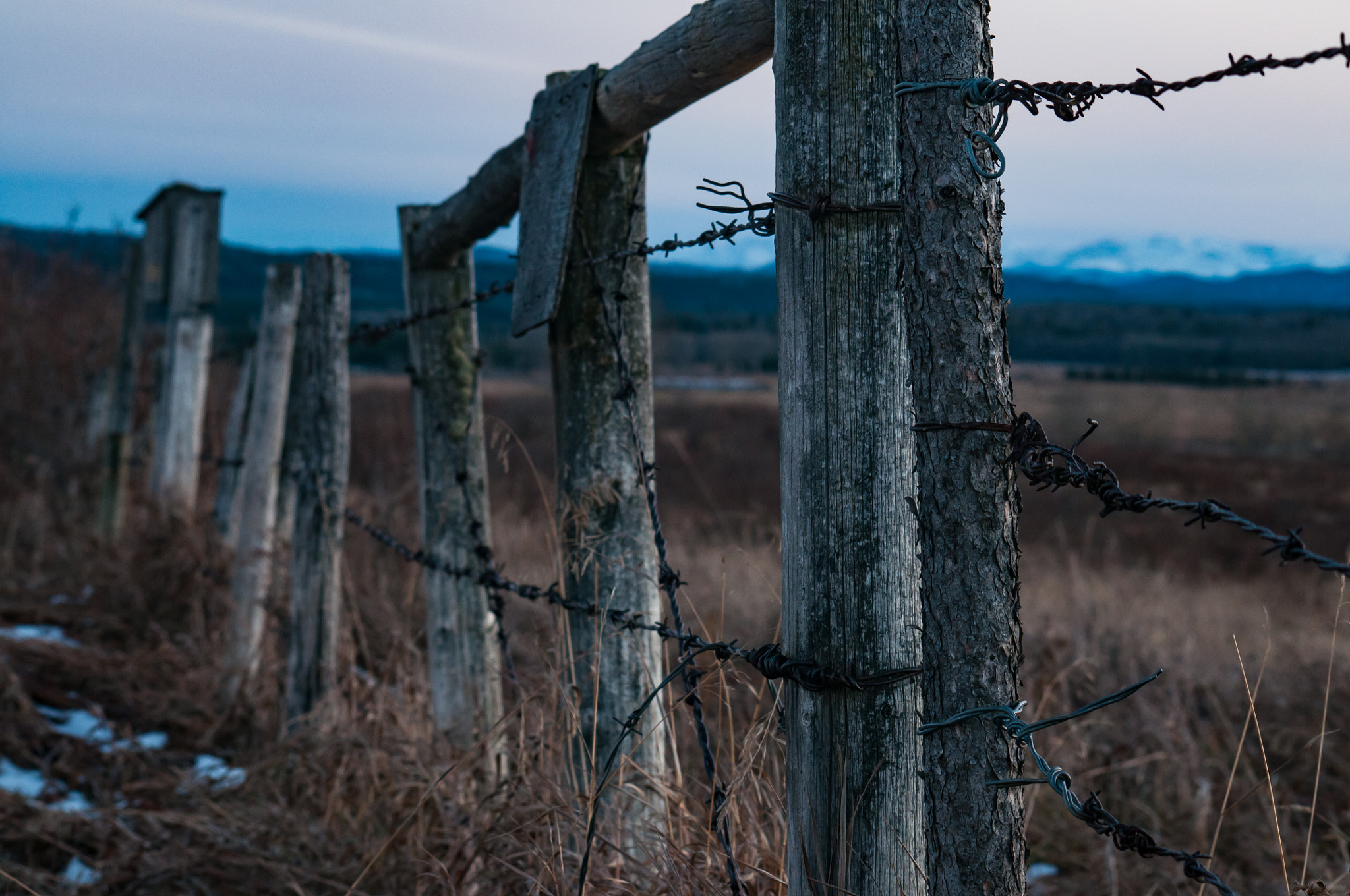 Nikon D300S sample photo. Old fence photography