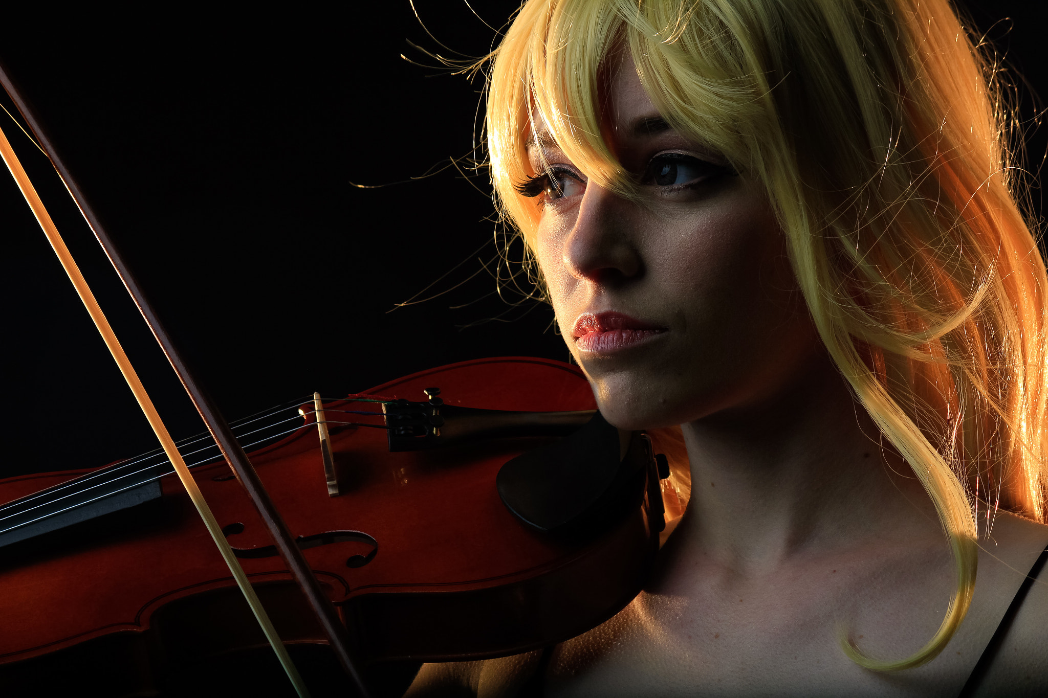 Canon EF-S 55-250mm F4-5.6 IS II sample photo. Violon photography