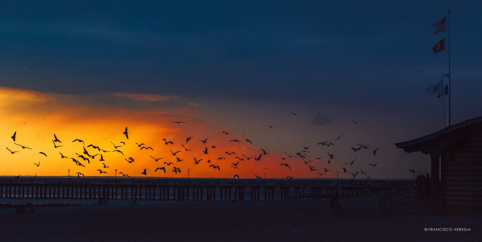 Sony a7S II sample photo. Dsc photography
