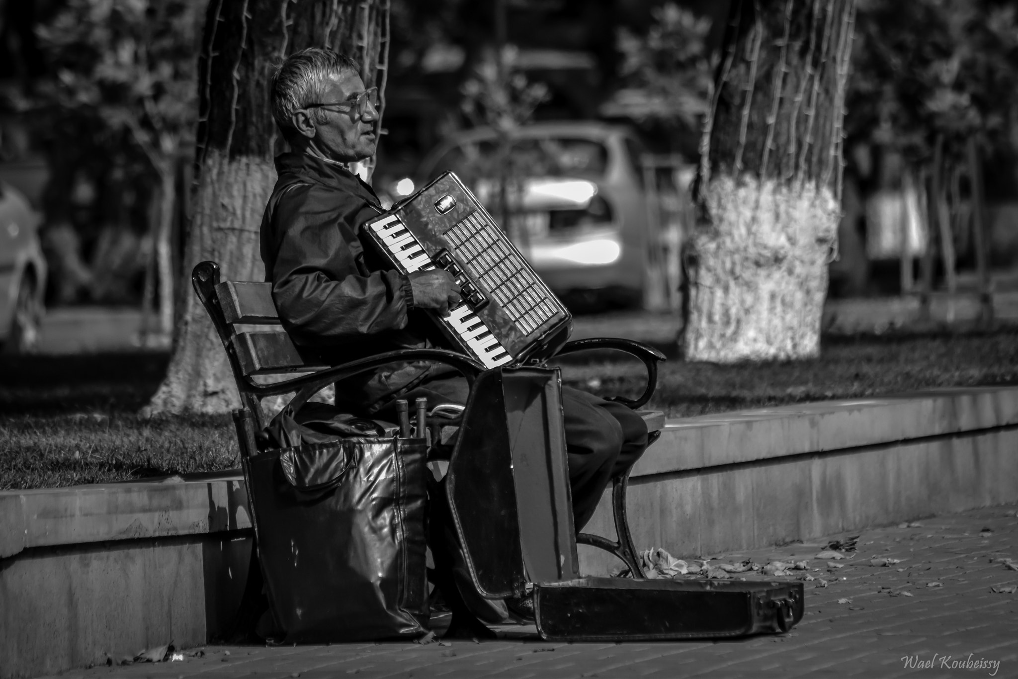 Sigma 70-300mm F4-5.6 APO DG Macro sample photo. The accordion player photography