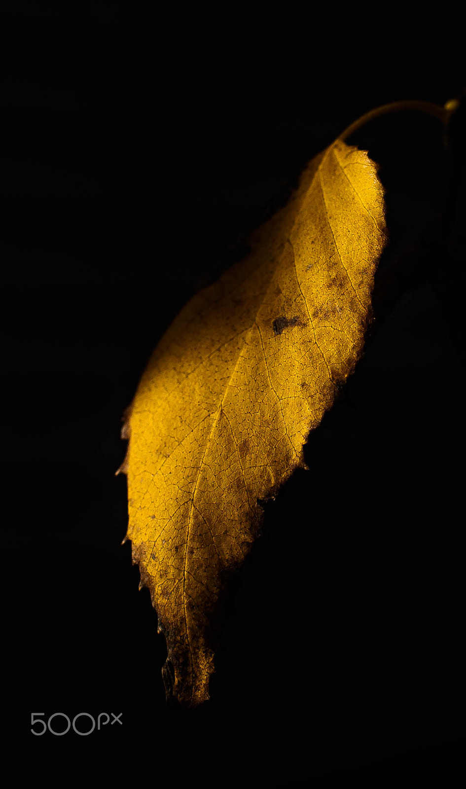 Canon EOS 5D sample photo. Fall season photography