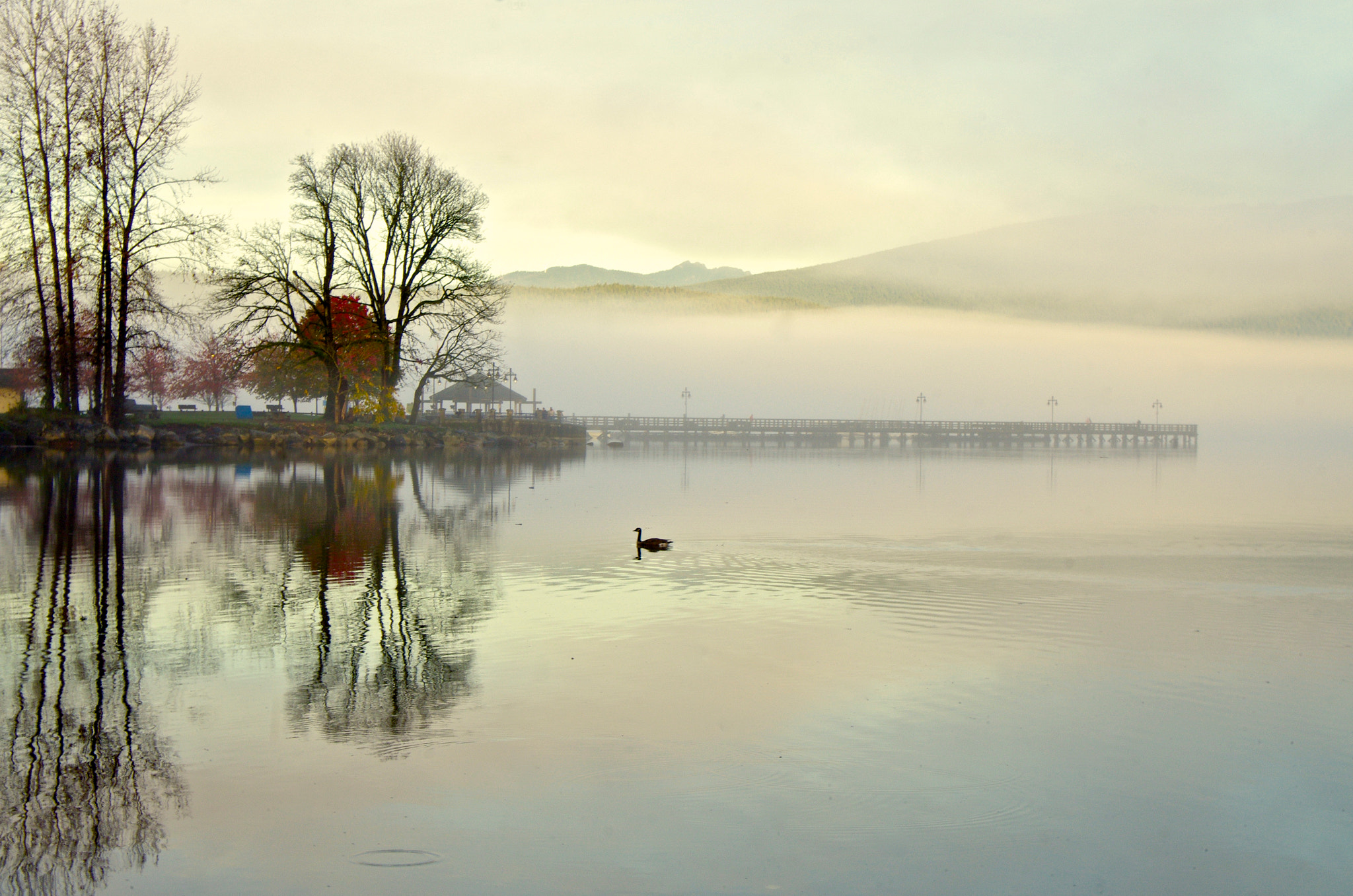 Pentax K-5 sample photo. Foggy start photography