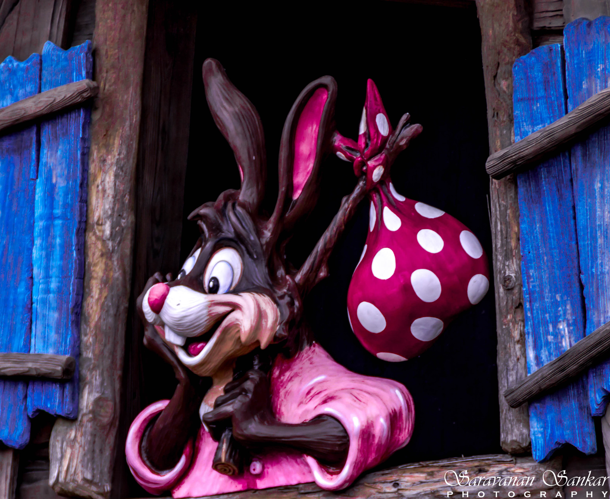 Sony SLT-A65 (SLT-A65V) sample photo. Bunny photography