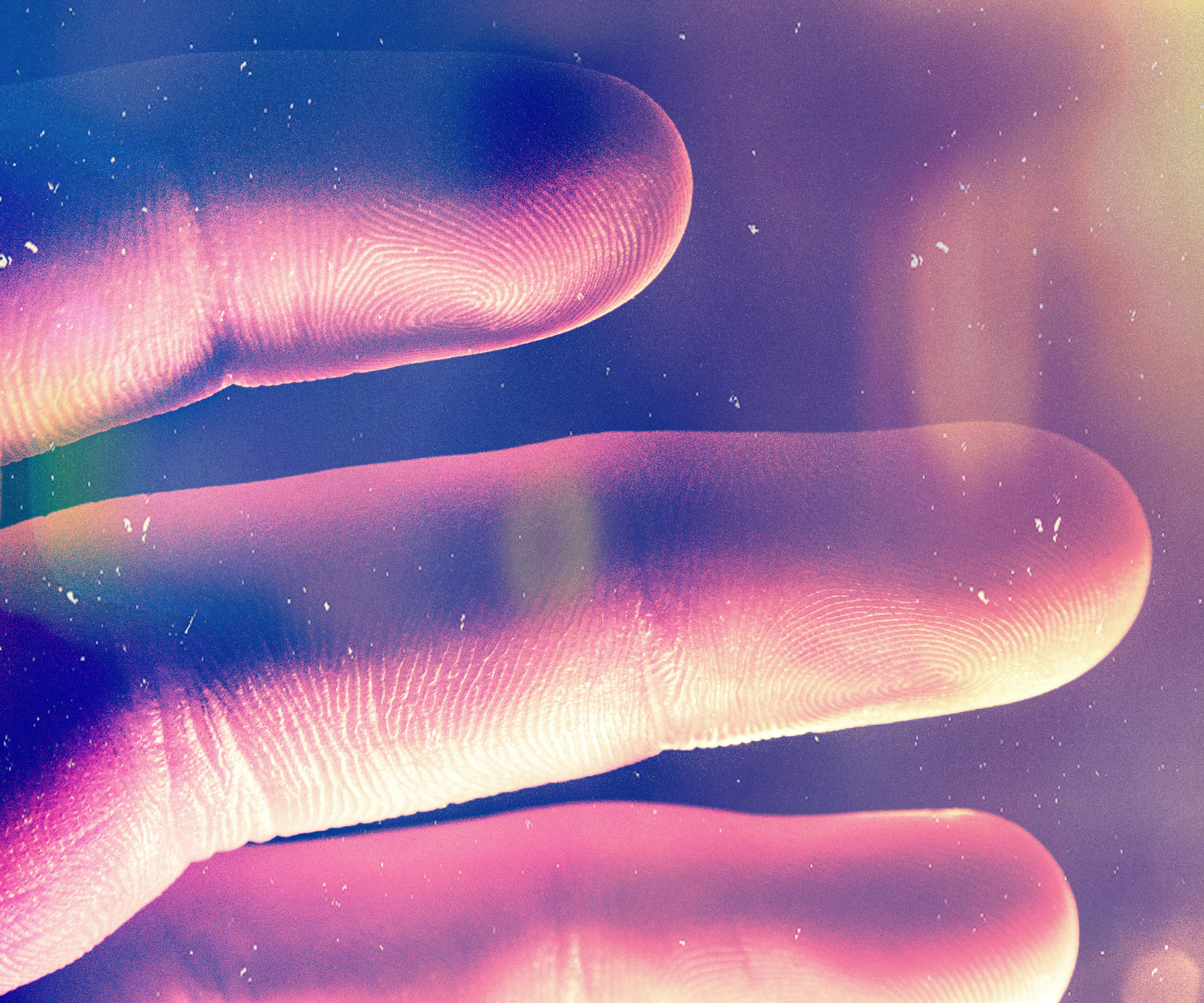 Sigma 17-50mm F2.8 EX DC HSM sample photo. Film hand photography