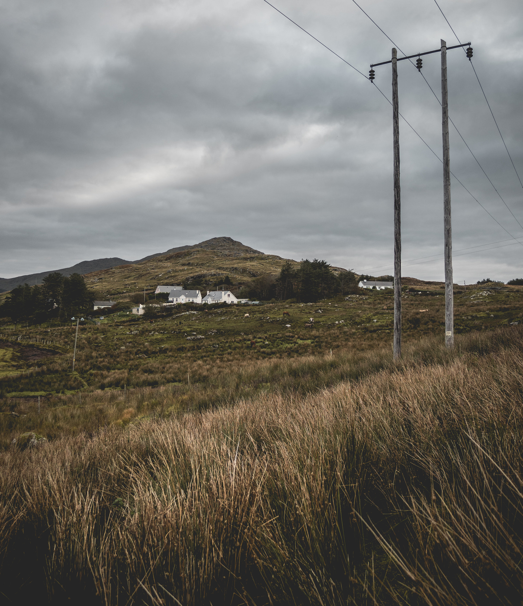 Olympus OM-D E-M5 II sample photo. Almost lost near slieve league cliffs  photography