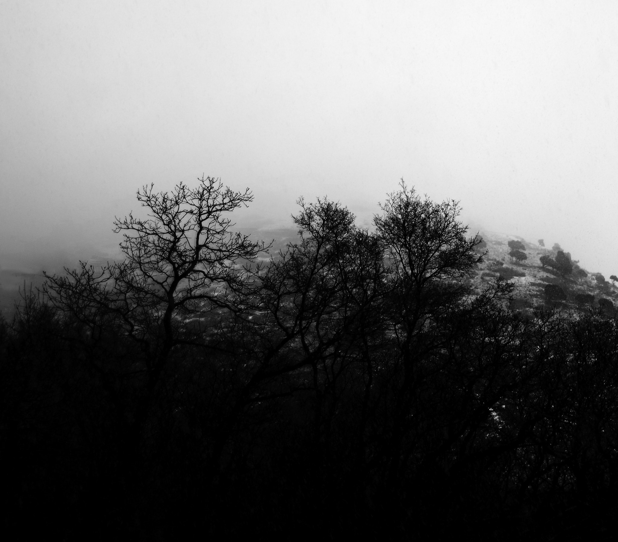 Sigma 17-50mm F2.8 EX DC HSM sample photo. Rain to snow mountain photography