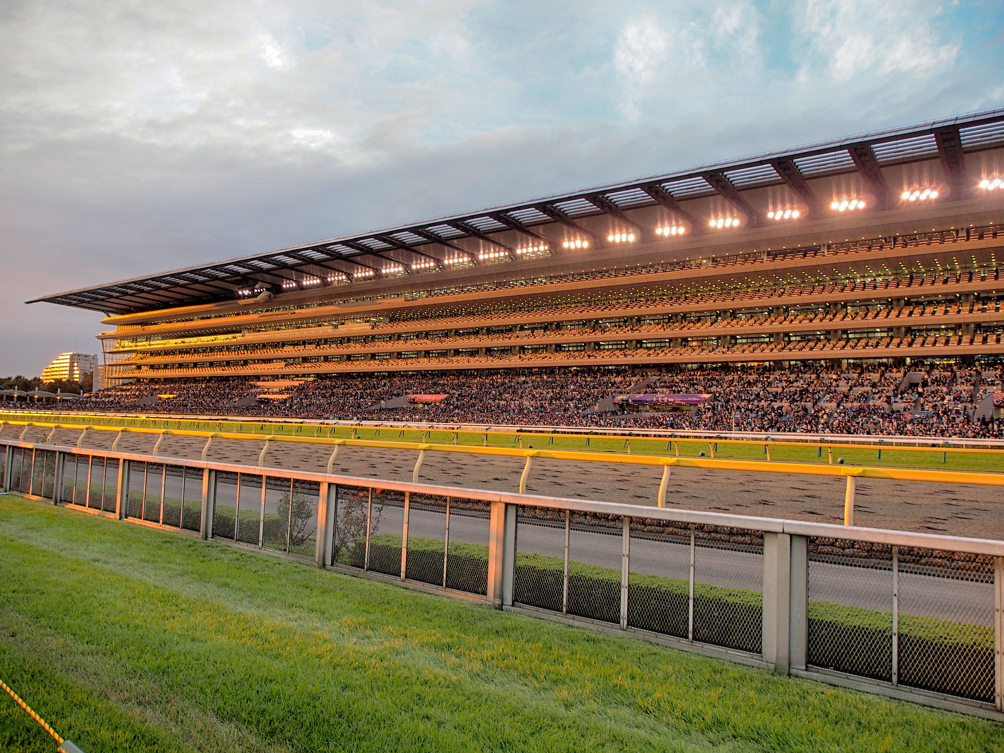 Olympus PEN E-PM2 sample photo. Sunset at tokyo racecourse photography
