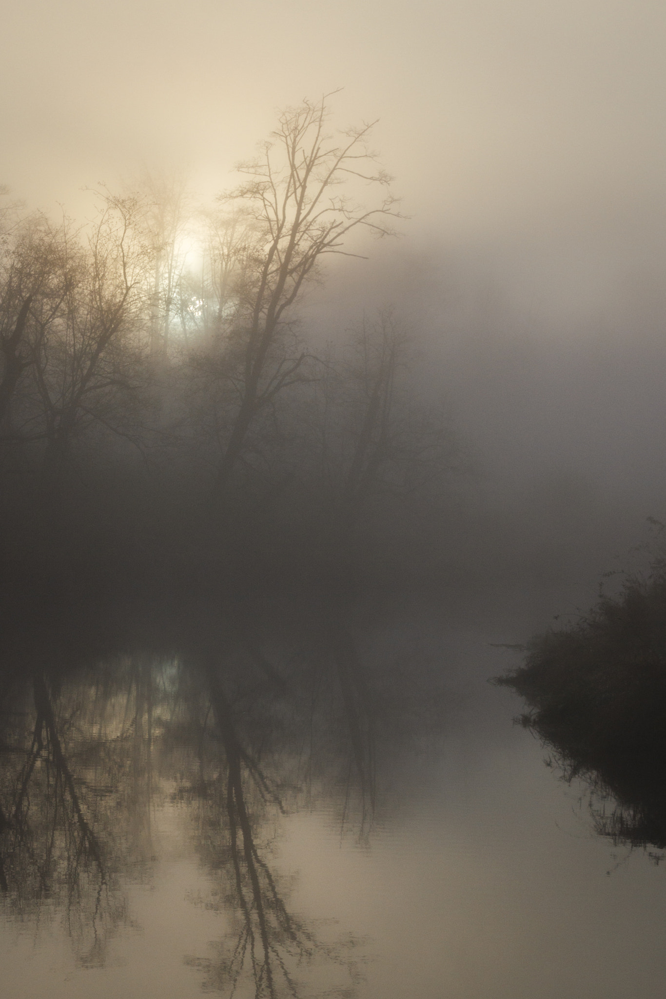 Canon EOS 550D (EOS Rebel T2i / EOS Kiss X4) + Sigma 18-50mm f/2.8 Macro sample photo. Foggy morning photography