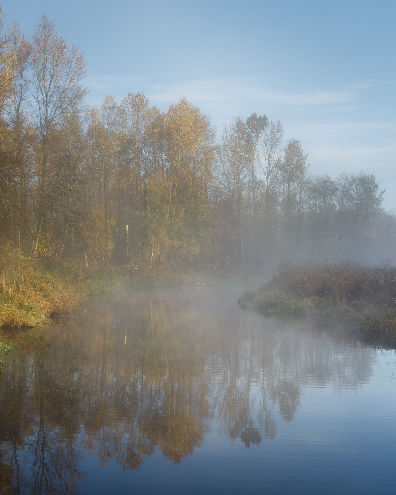 Sigma 18-50mm f/2.8 Macro sample photo. Morning photography