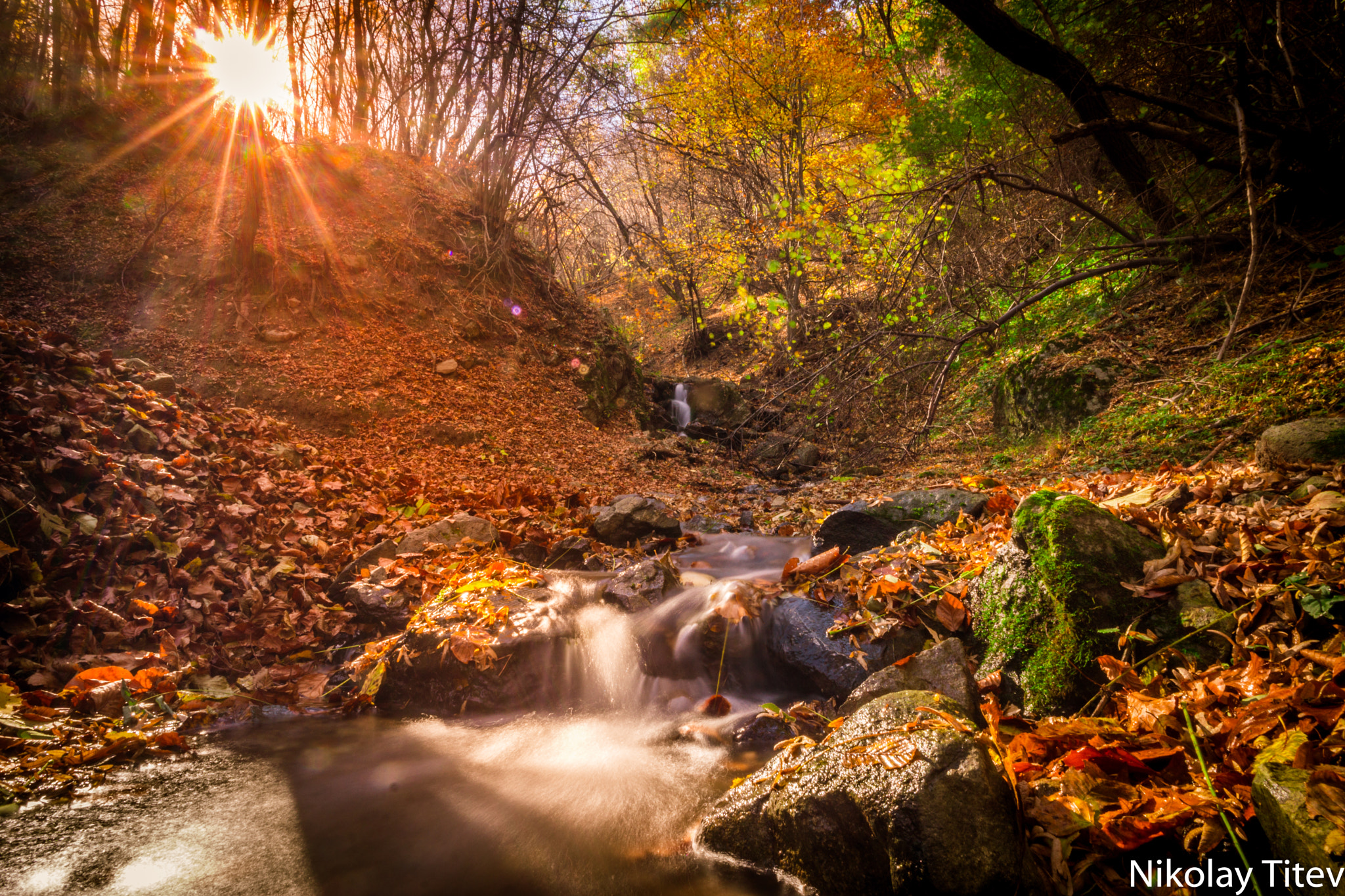 Sony a6000 sample photo. Fall #2 photography