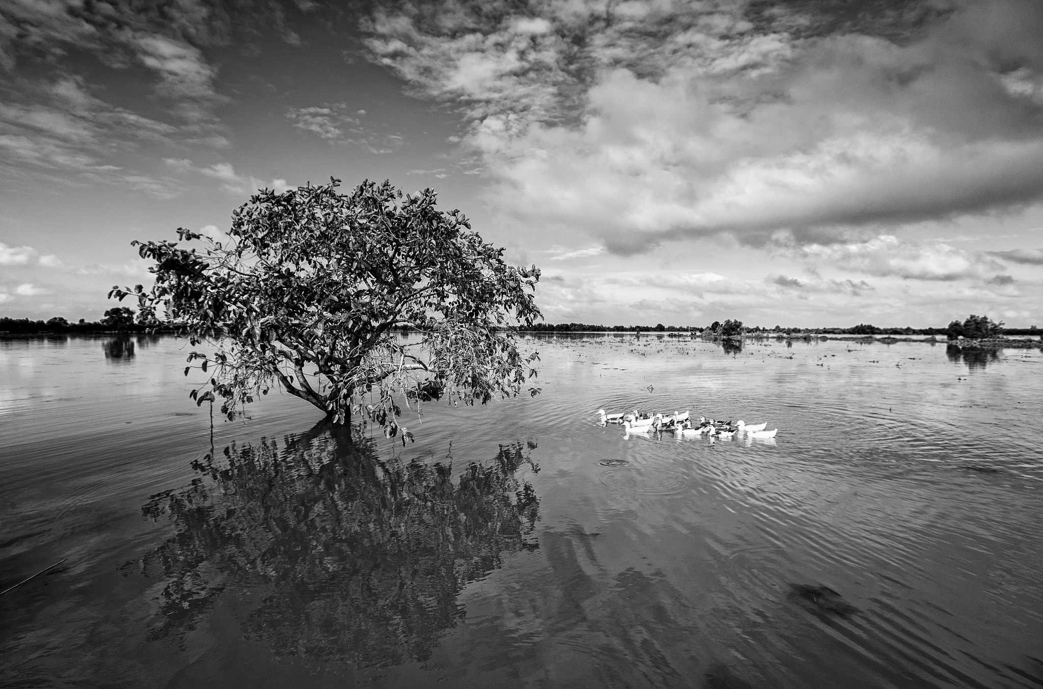 Canon EOS-1Ds Mark III sample photo. Flooding photography