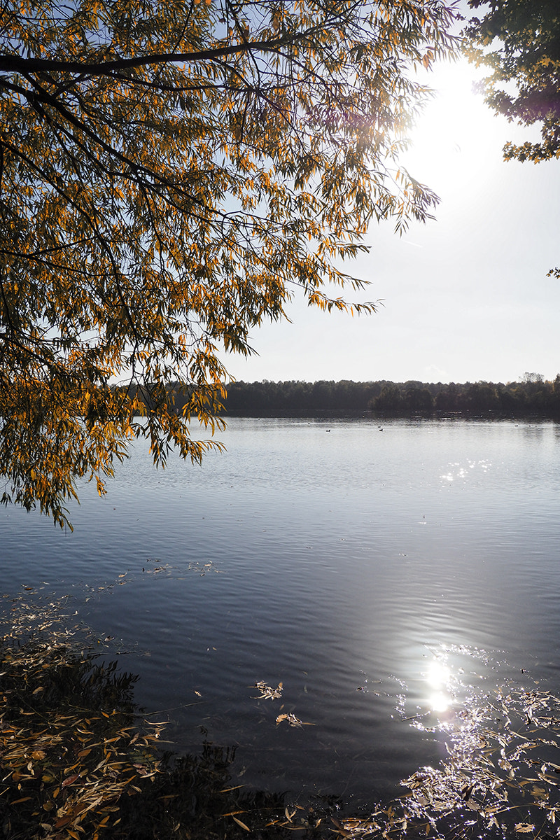 Olympus PEN-F sample photo. Good morning :) photography