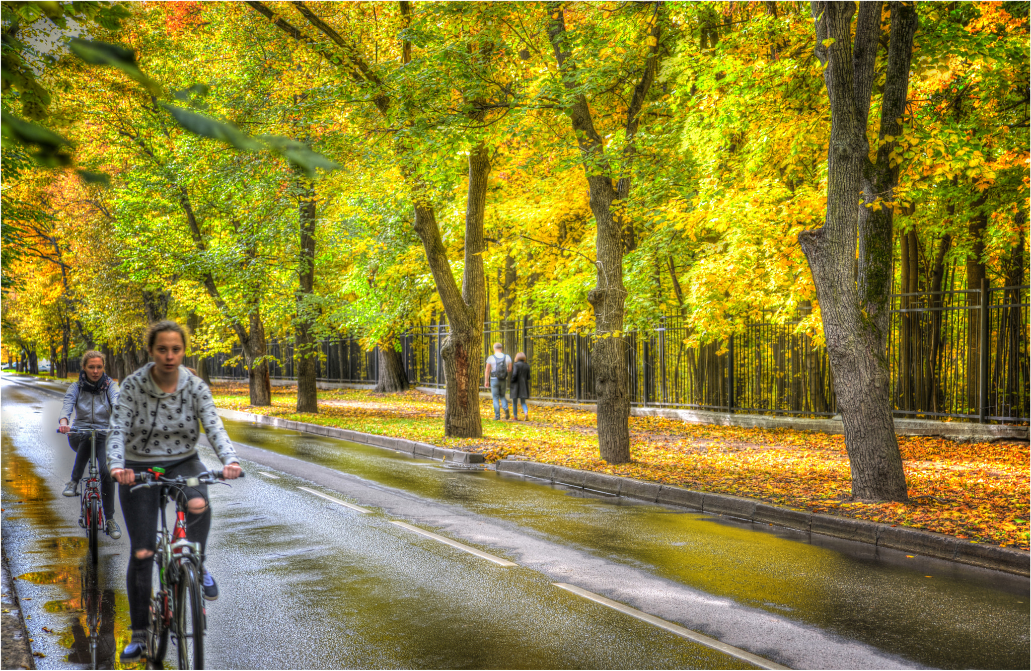 Nikon D600 sample photo. Autumn around... photography