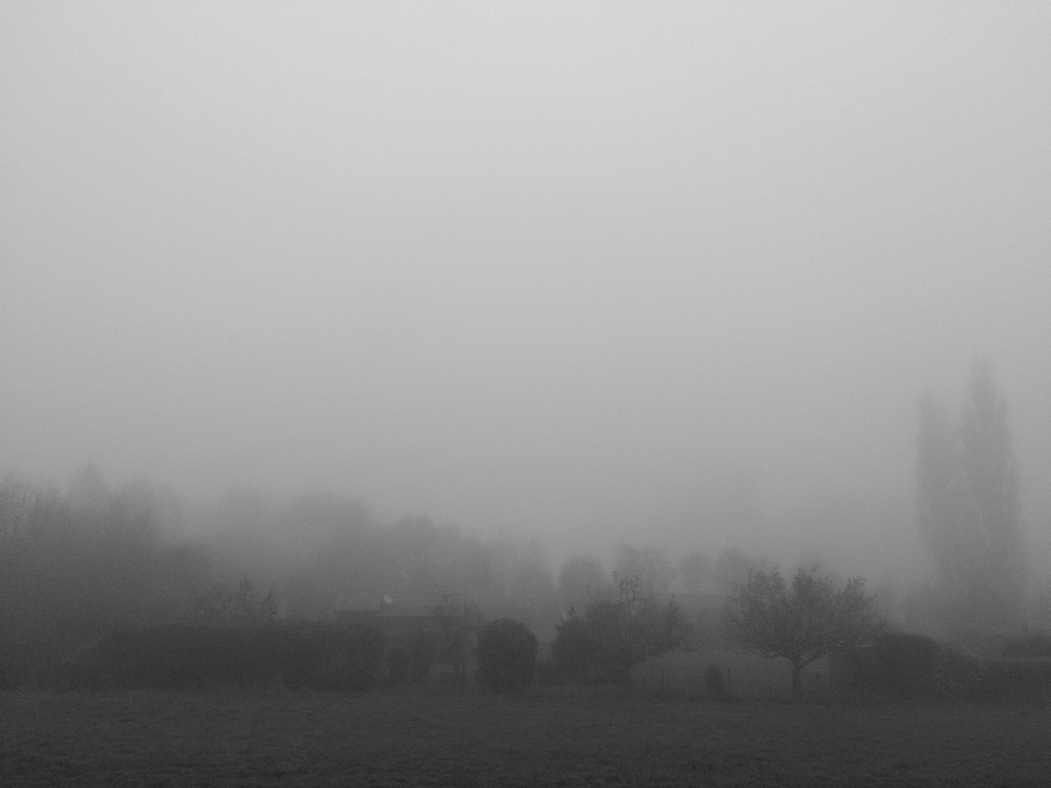Jag.gr 645 PRO Mk III for Apple iPhone 5s sample photo. Morgennebel mit blick auf den fischerberg photography
