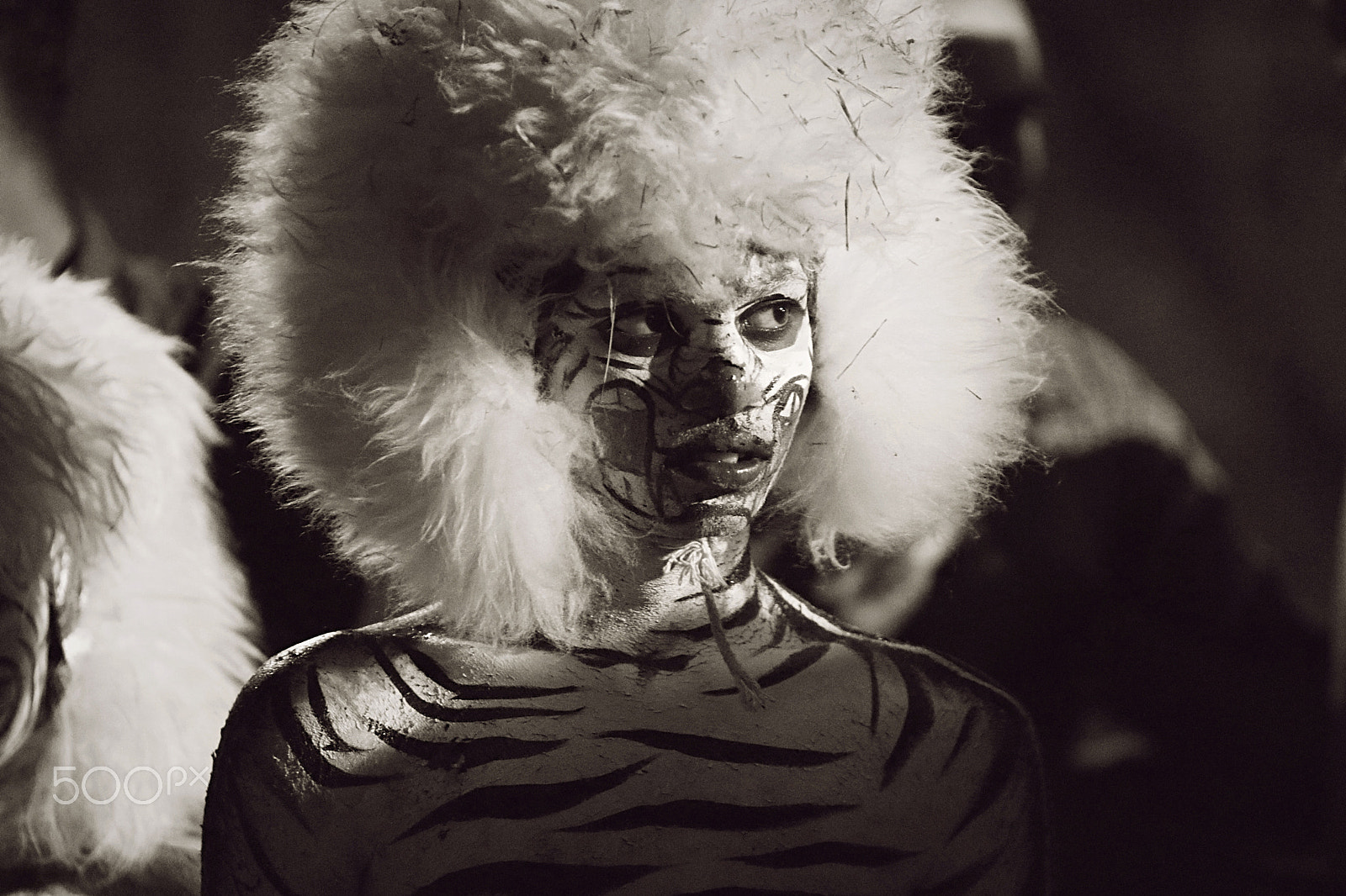 Sigma A 24-105 mm f/4 DG OS HSM sample photo. The tiger boy! photography