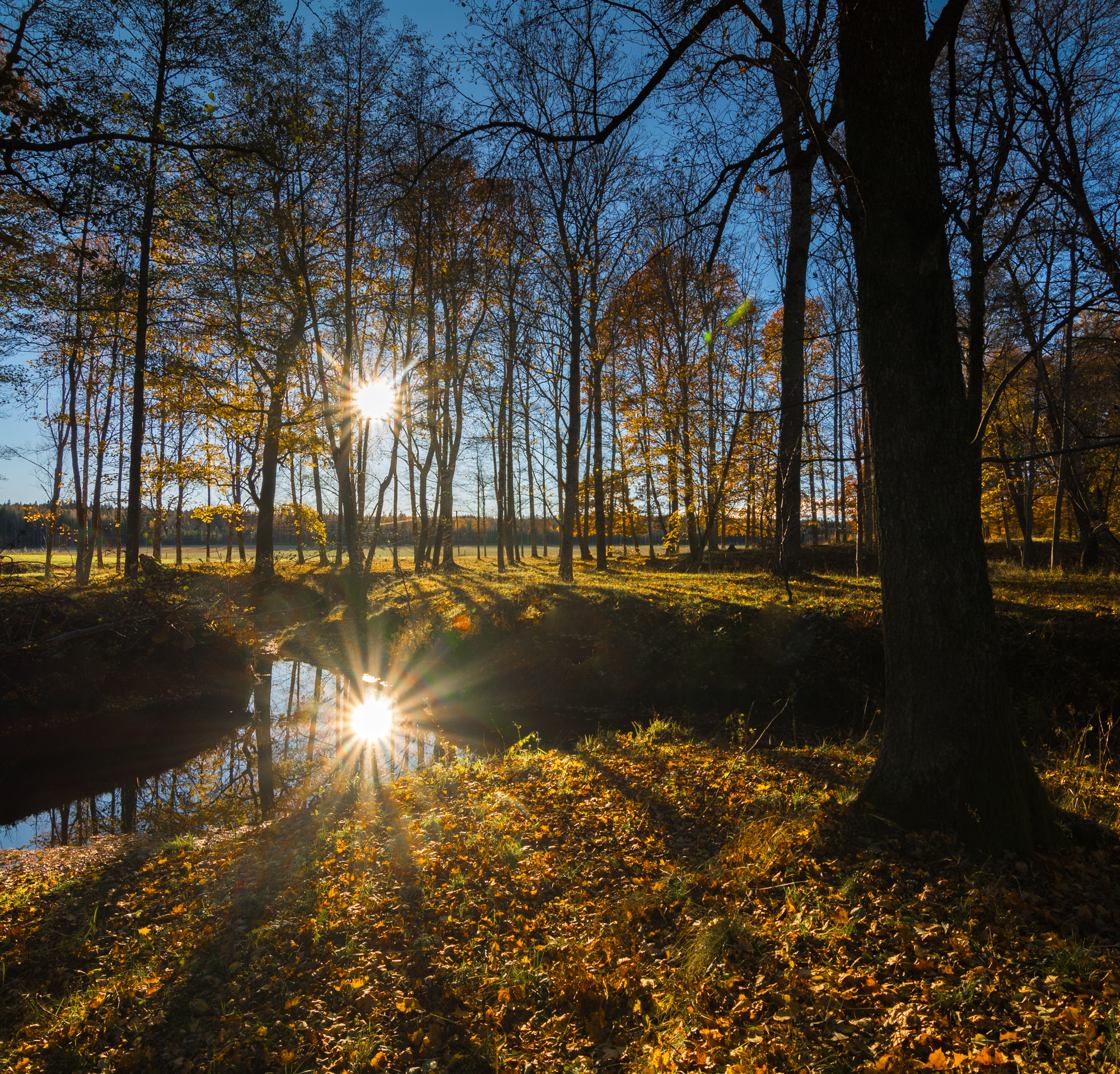 Tokina AT-X Pro 11-16mm F2.8 DX sample photo. Reflections photography