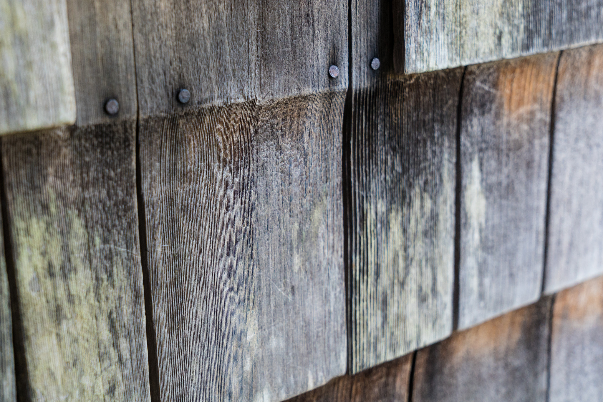 Sony a7S II + Sony Vario Tessar T* FE 24-70mm F4 ZA OSS sample photo. Dsc photography