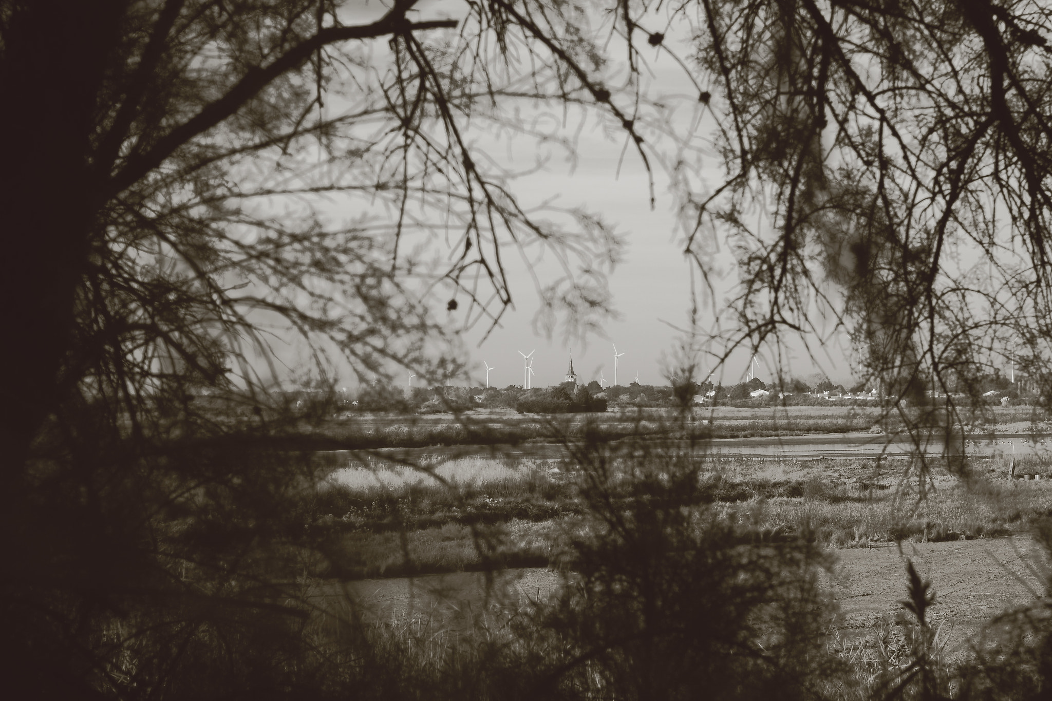 Canon 1-65535mm sample photo. Voyage a travers les marais photography
