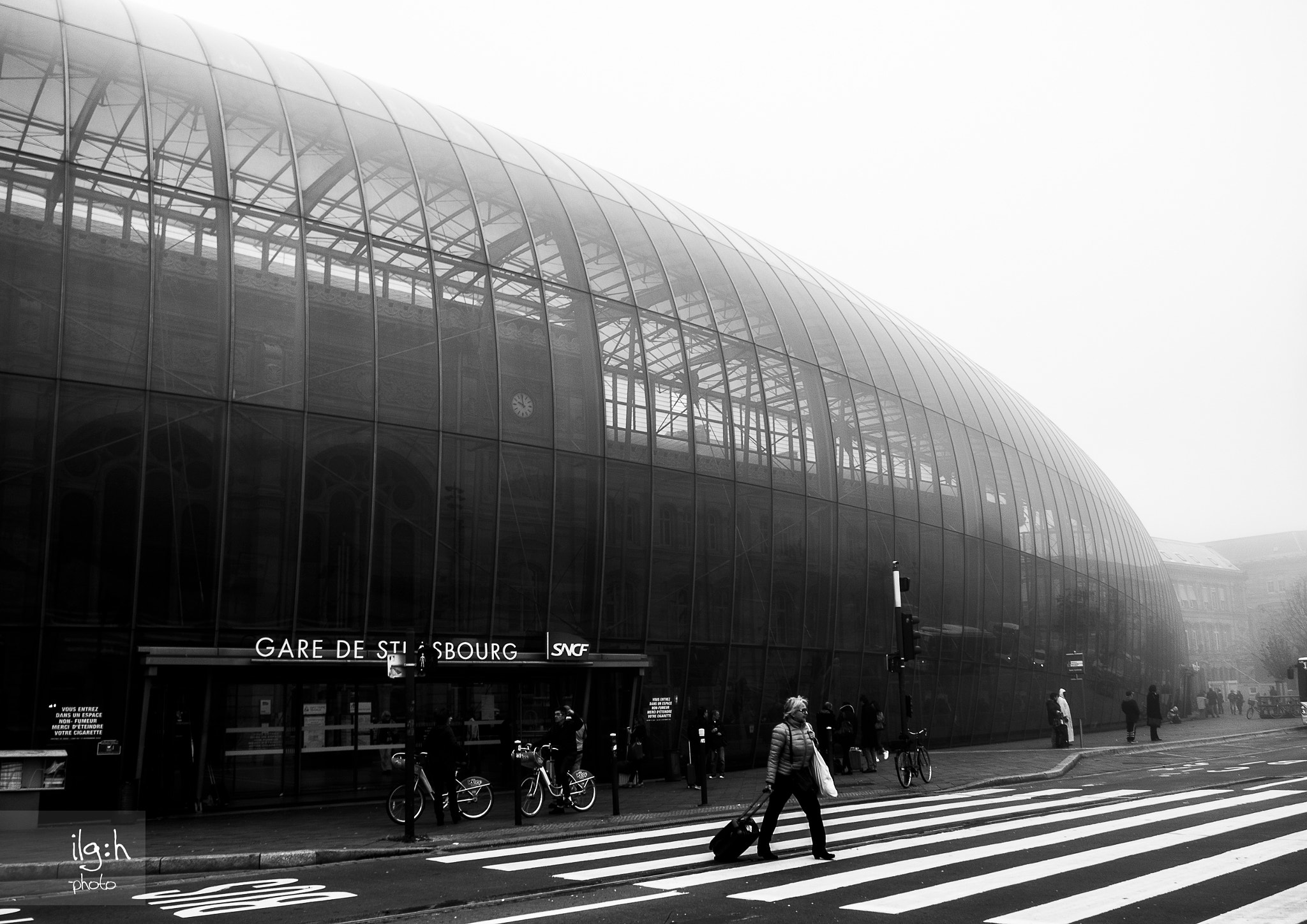 Olympus M.Zuiko Digital 14-42mm F3.5-5.6 II R sample photo. Foggy morning photography