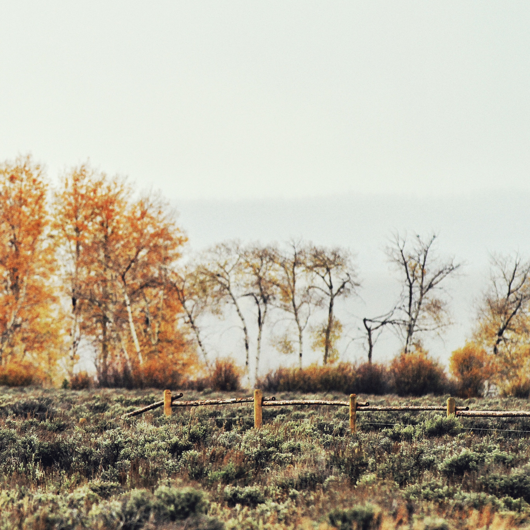 Canon EOS 7D + Canon EF 70-200mm F2.8L IS II USM sample photo. Distant fence photography