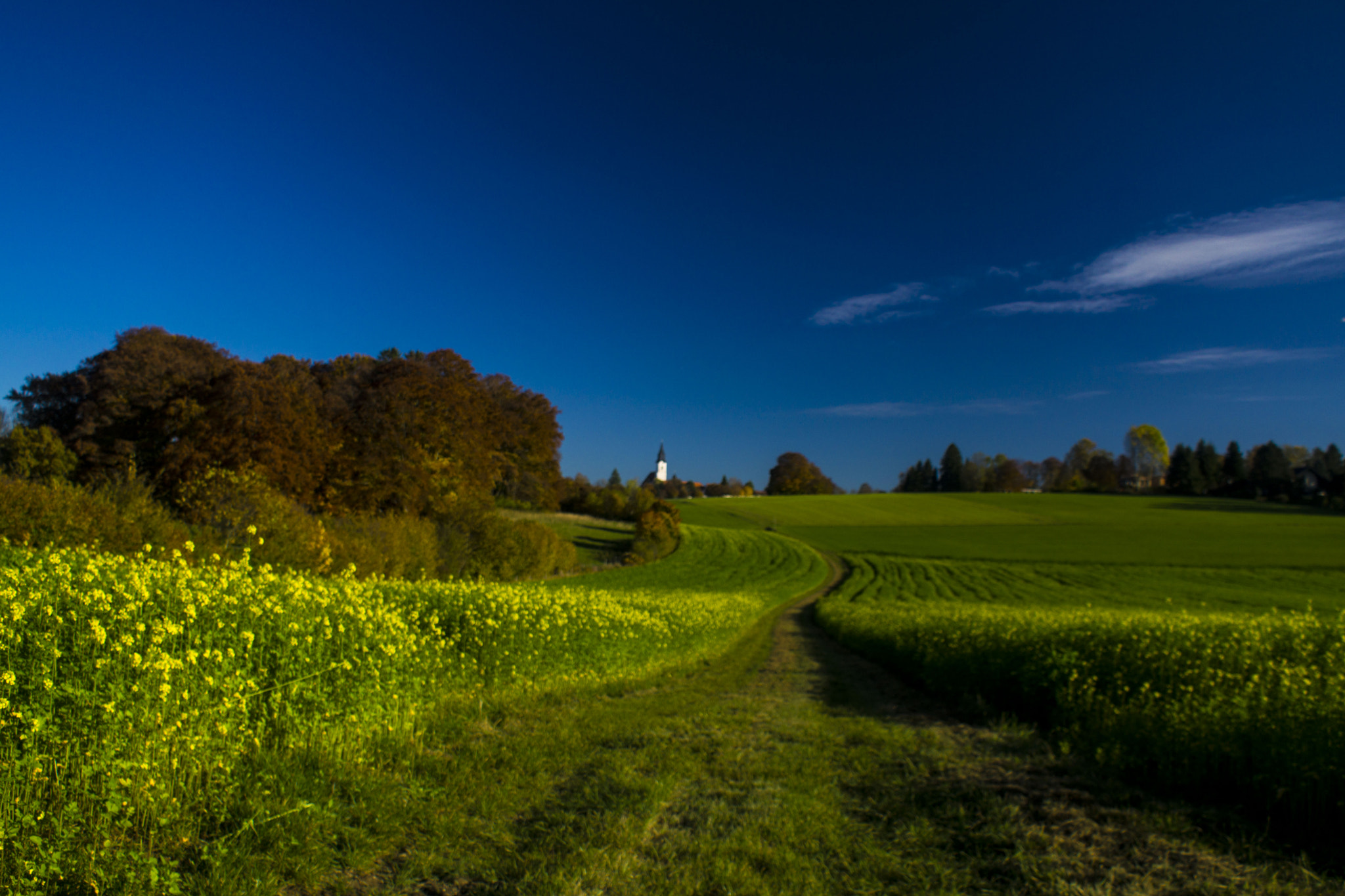 Sony DT 18-70mm F3.5-5.6 sample photo. Weg zu rühmanns grab photography