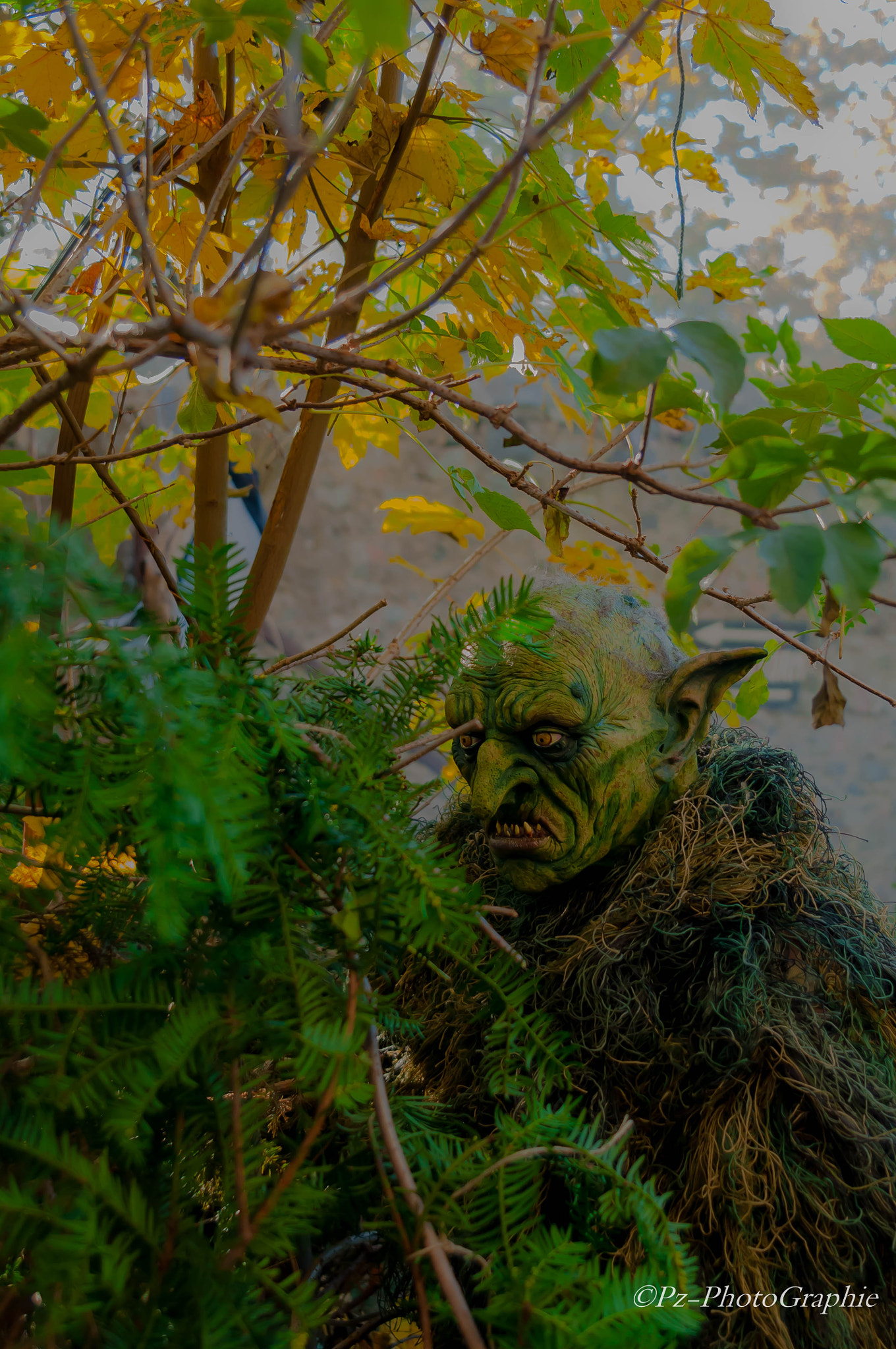 Sigma 24-70mm F2.8 EX DG HSM sample photo. Halloween/  tarnung  photography