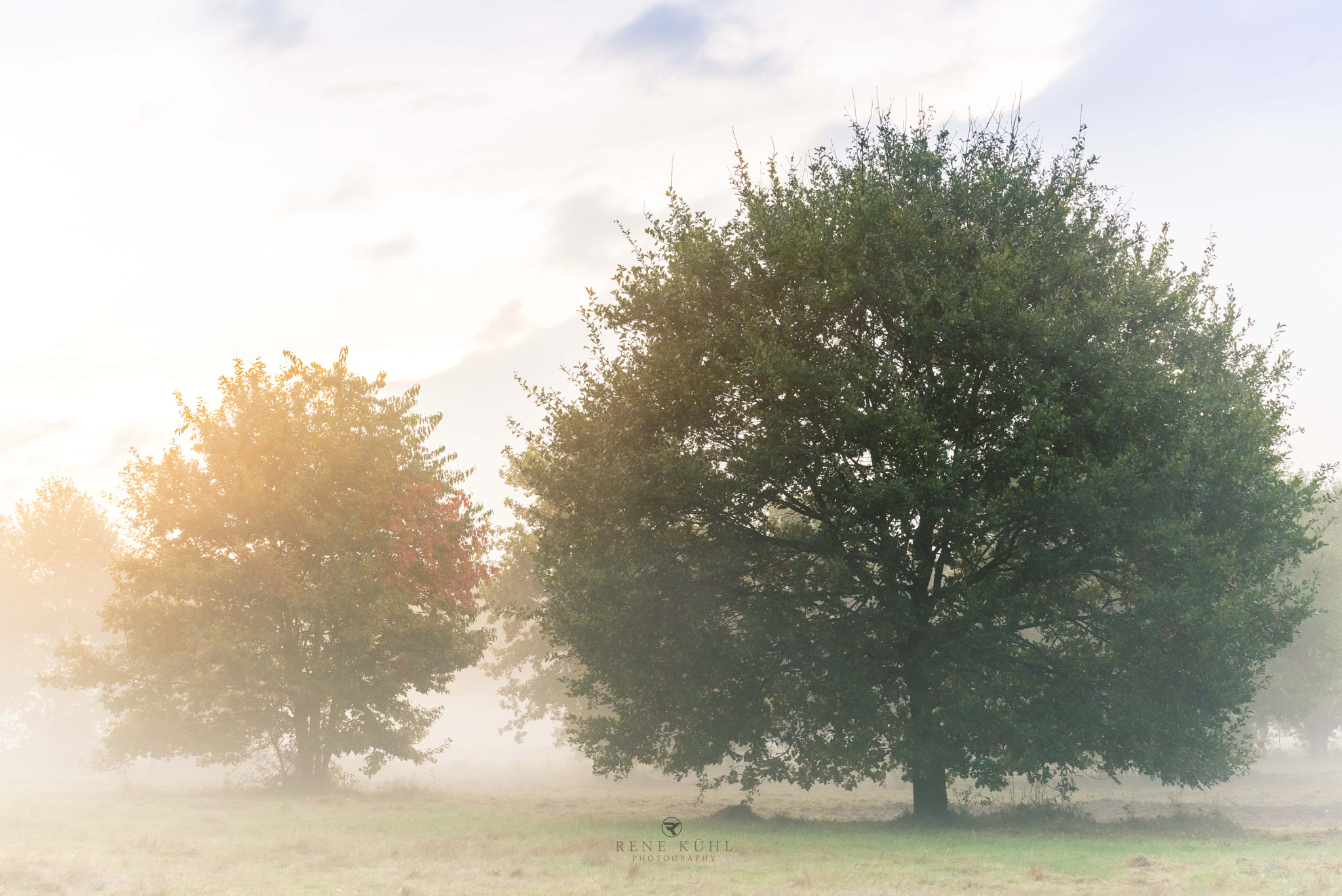 Sony a7R + Canon EF 70-200mm F4L USM sample photo. Bbn sunrise and fog photography