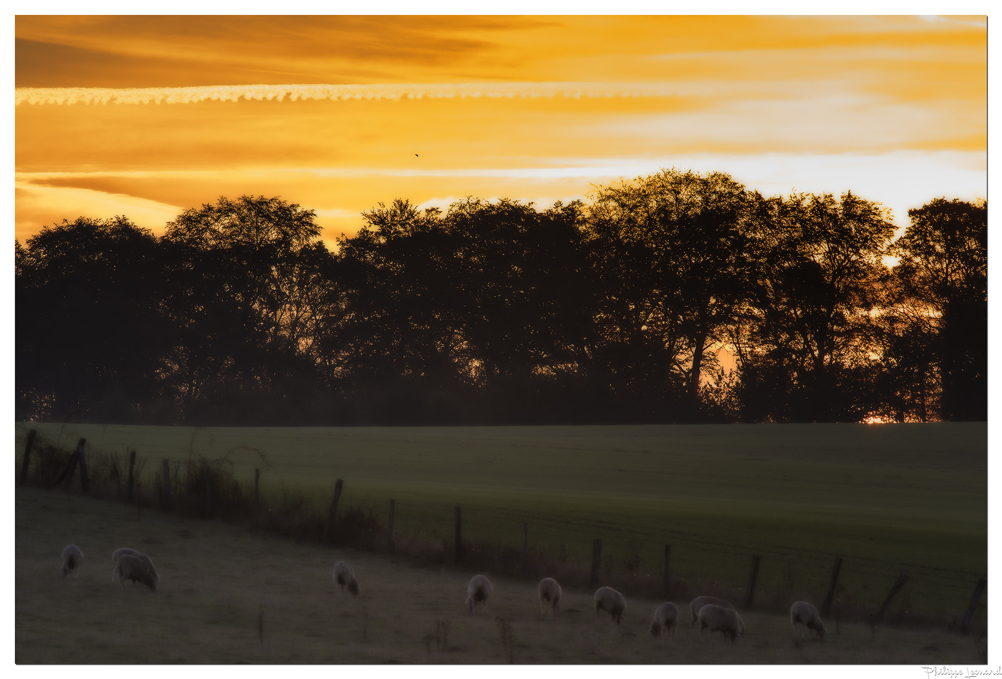 Nikon AF-S Nikkor 300mm F2.8G ED VR II sample photo. When the sun rises the legend of panurge's begin photography