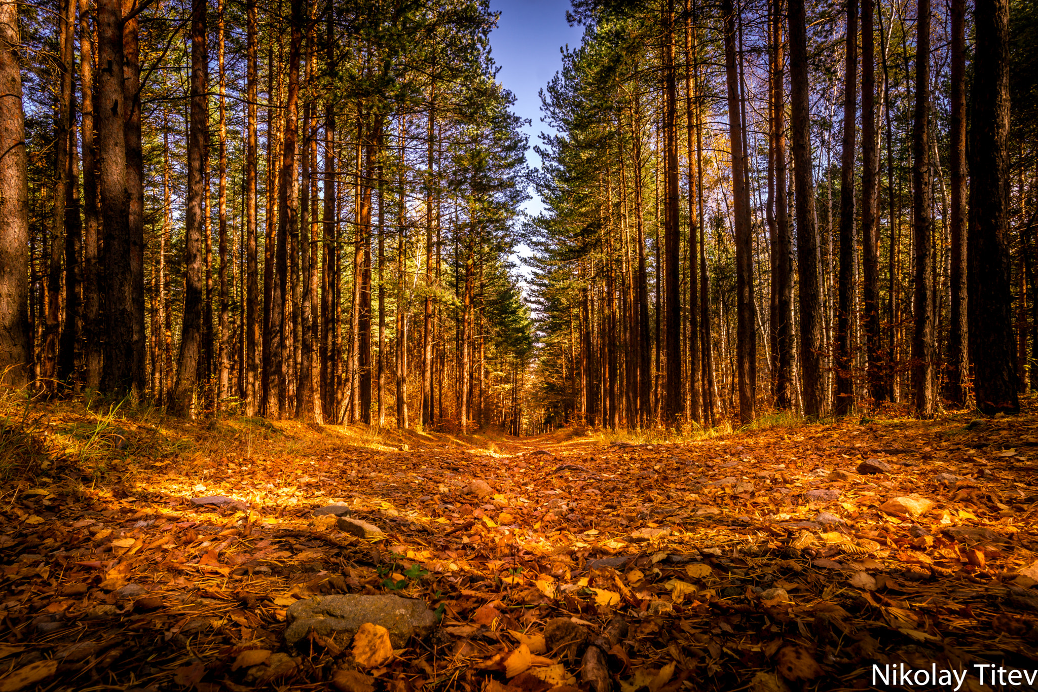 Sony a6000 + ZEISS Touit 12mm F2.8 sample photo. Fall #3 photography