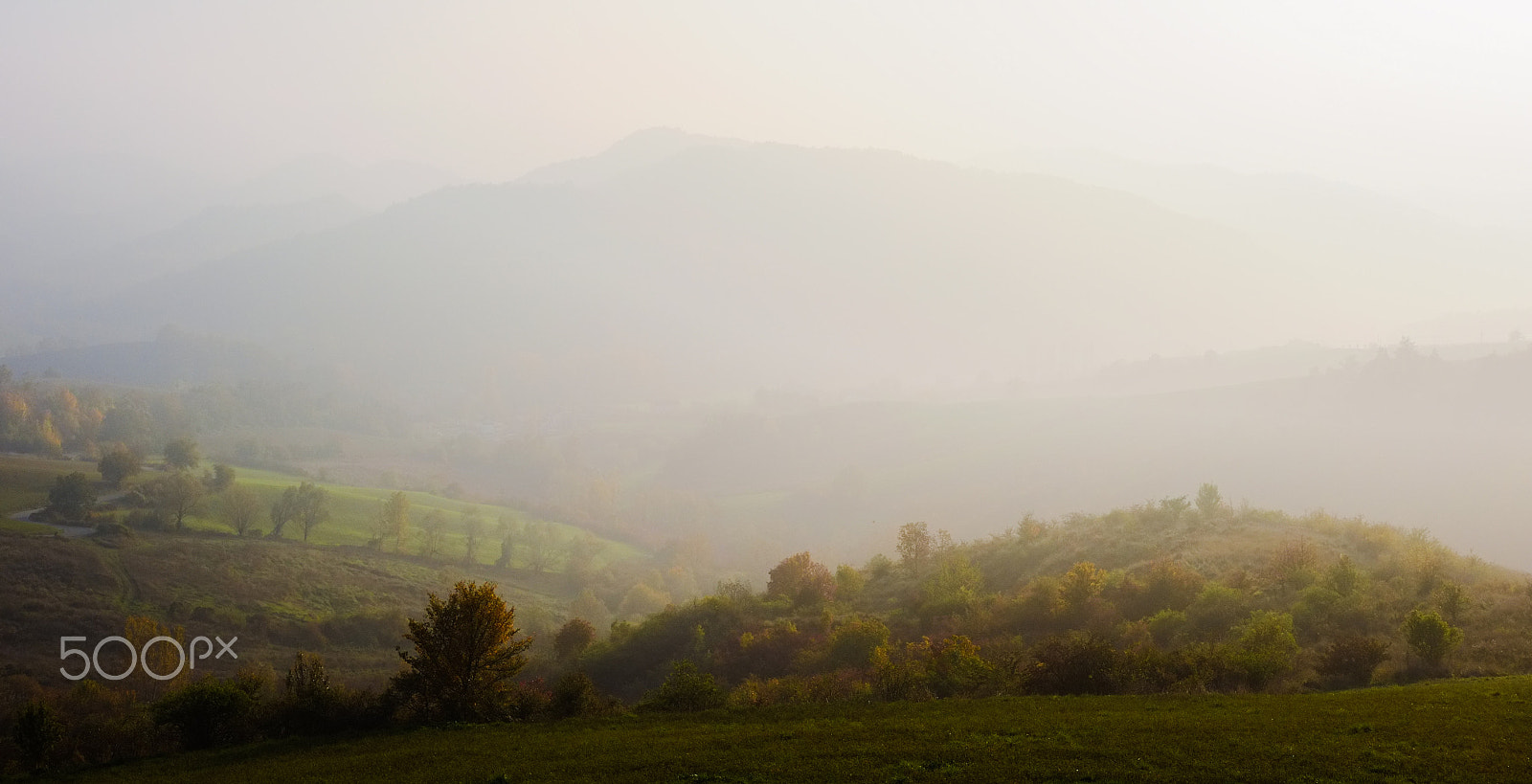 Fujifilm X-E1 + Fujifilm XF 27mm F2.8 sample photo. Good morning eden photography