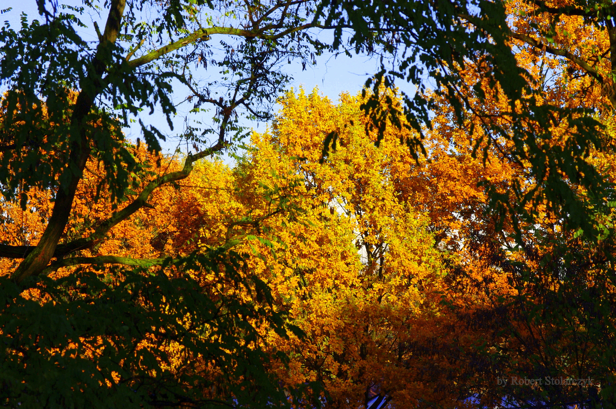 smc PENTAX-DA L 50-200mm F4-5.6 ED sample photo. Out of my window photography