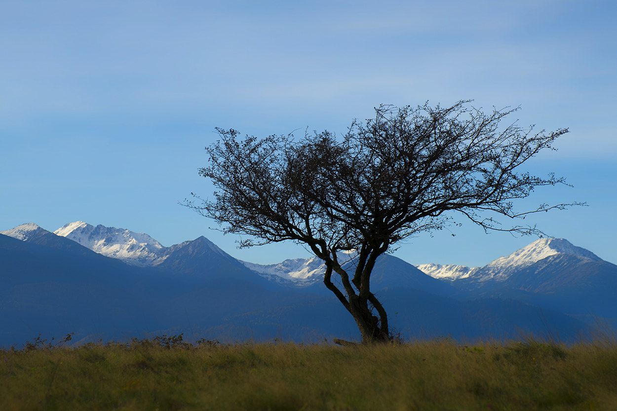 Sony 75-300mm F4.5-5.6 sample photo. Retezat mountains photography