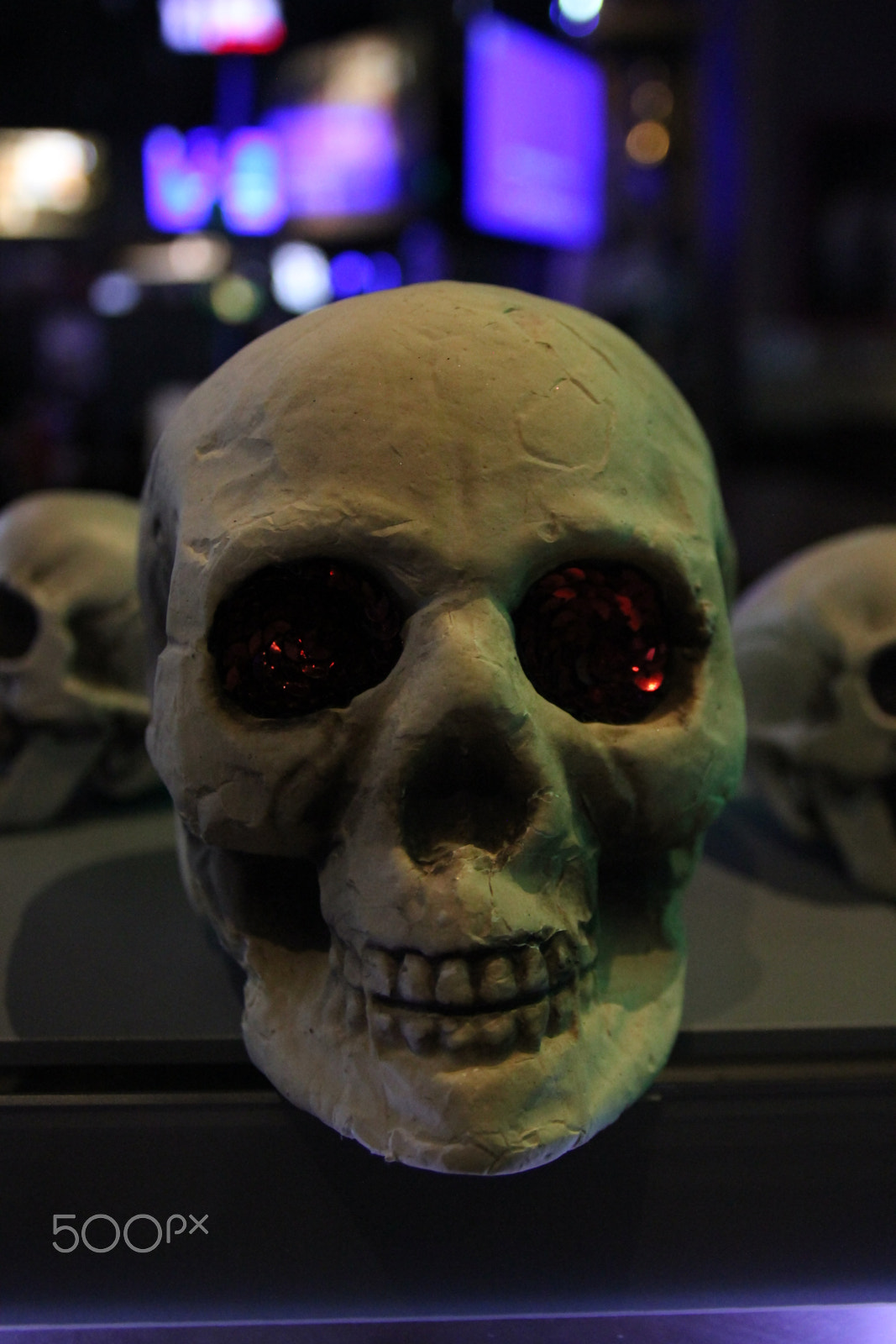 Canon EOS 550D (EOS Rebel T2i / EOS Kiss X4) sample photo. Skull photography