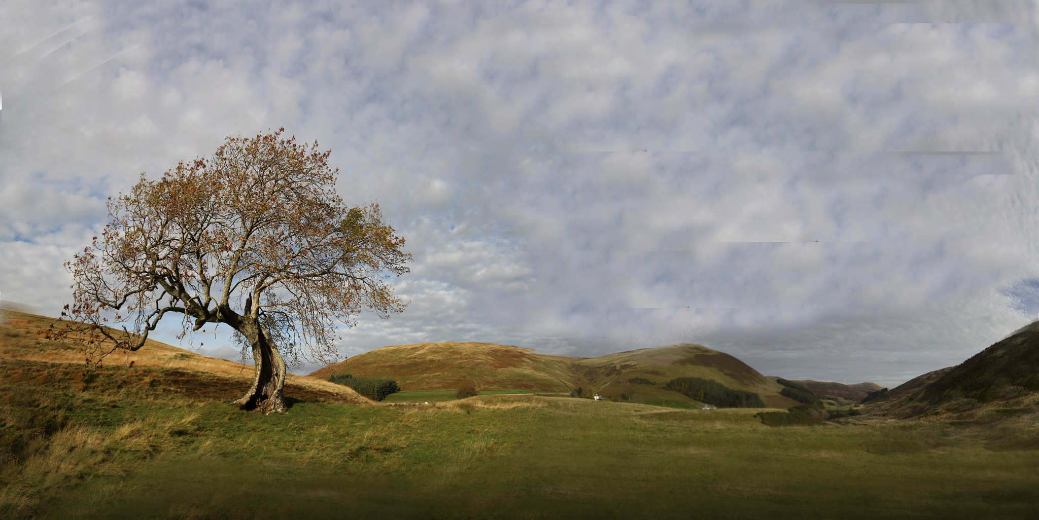 Sigma 10-20mm F4-5.6 EX DC HSM sample photo. Autumnal windswept  photography