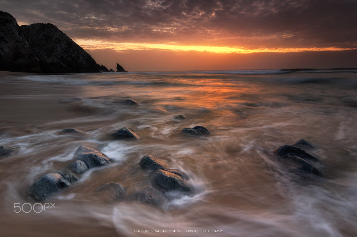 Tokina AT-X Pro 12-24mm F4 (IF) DX sample photo. The last breath photography