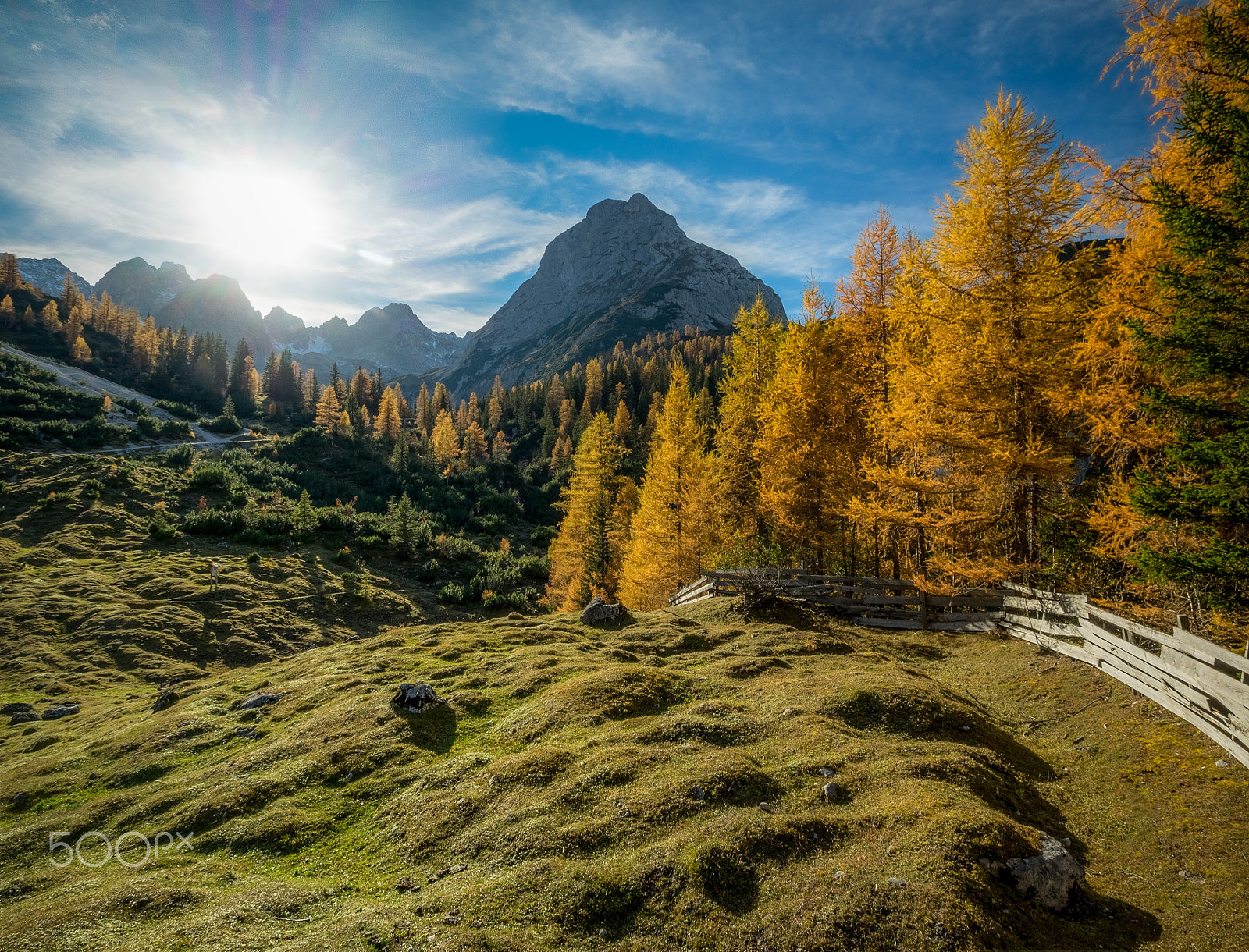 Olympus Zuiko Digital ED 9-18mm F4.0-5.6 sample photo. Larches on fire photography