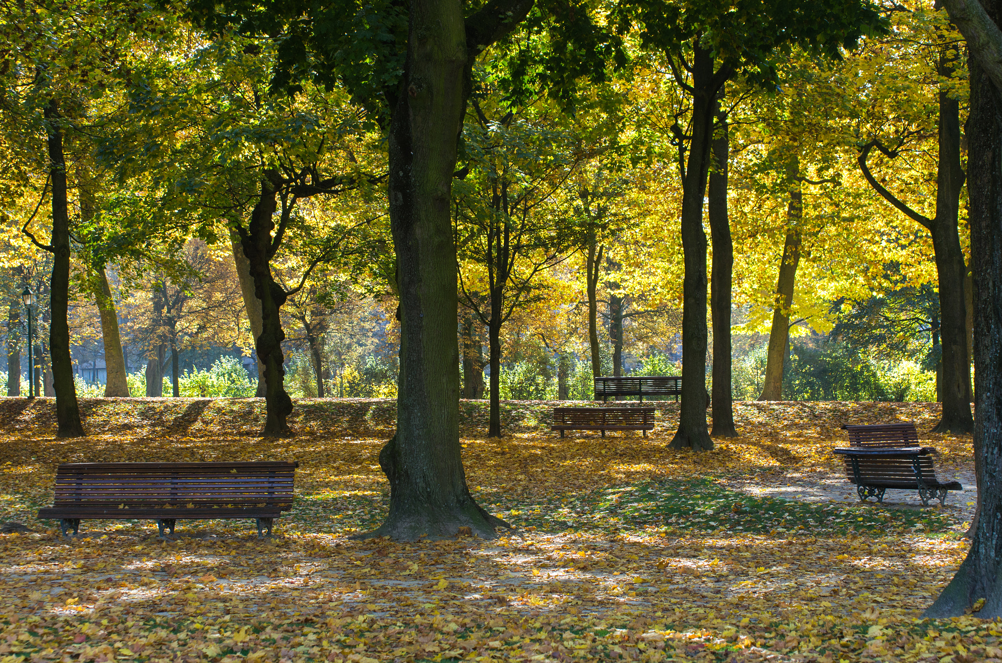 Pentax K-5 + Pentax smc DA* 50-135mm F2.8 ED (IF) SDM sample photo. Parc du cinquantenaire - fall photography