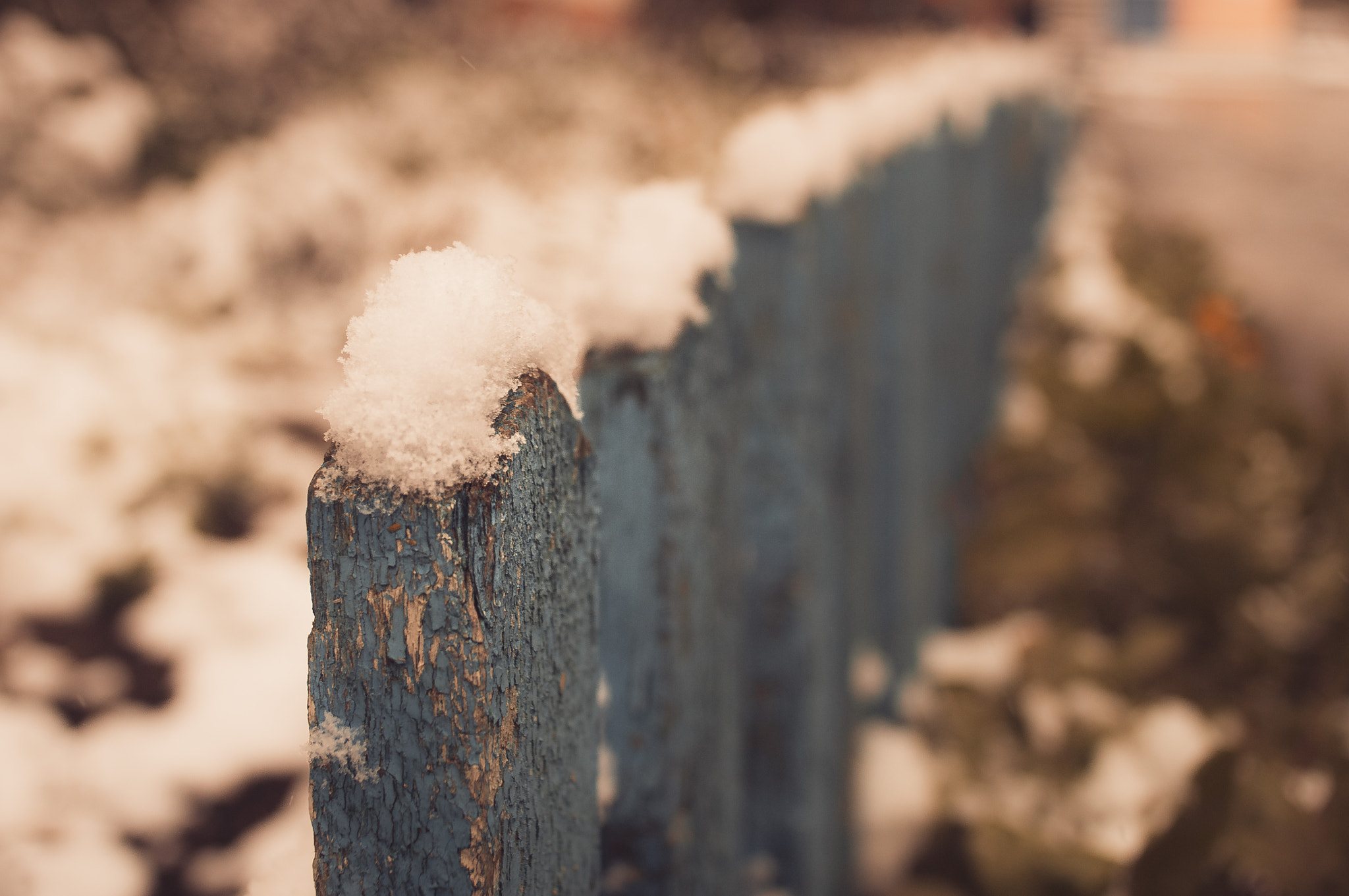 Minolta AF 24mm F2.8 sample photo. Winter in fall photography