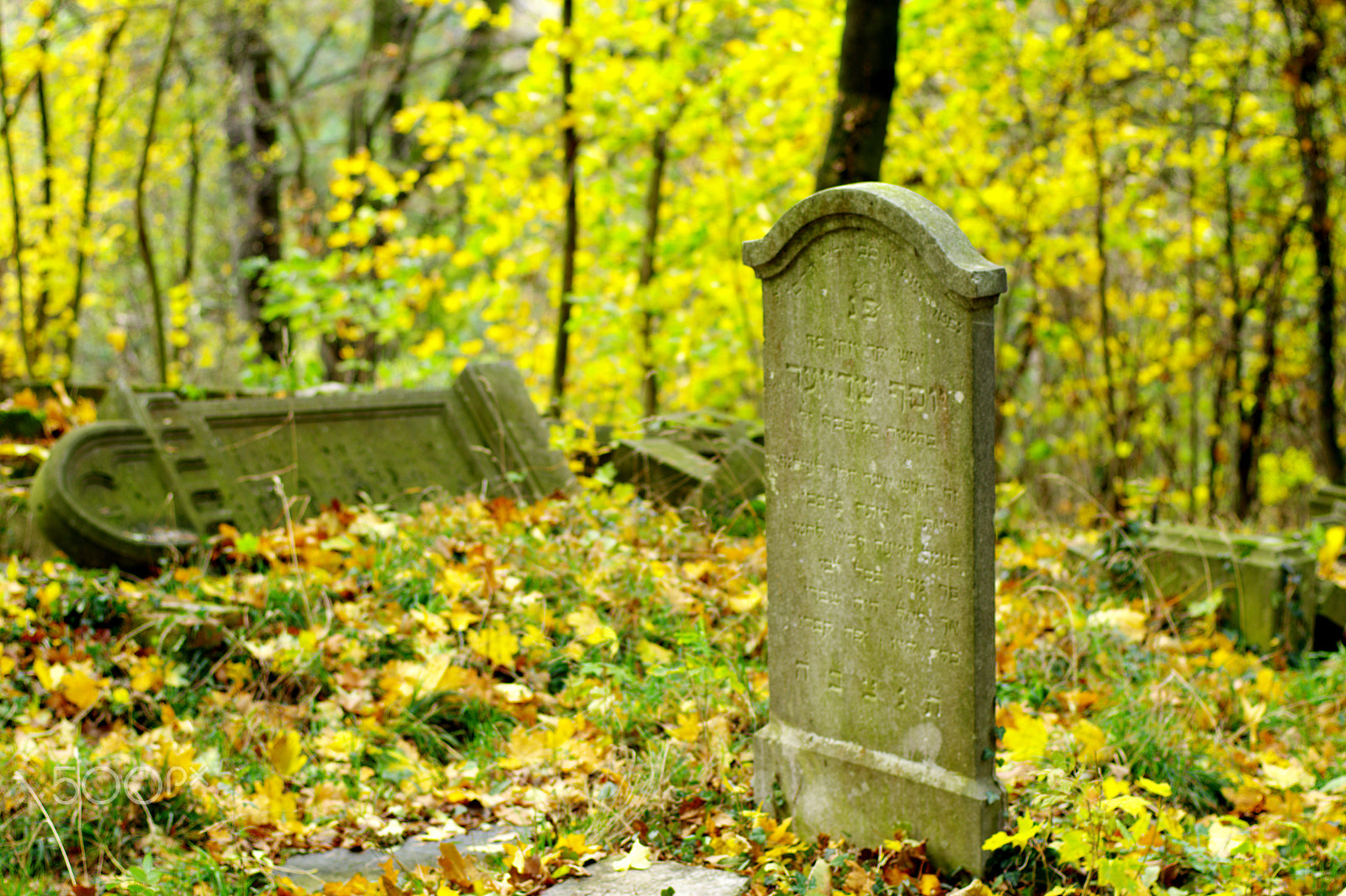 Pentax K-70 sample photo. Old jewish cemetery... photography