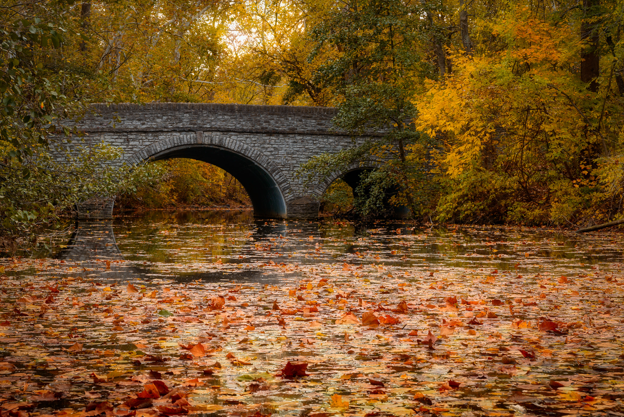 Tamron SP 24-70mm F2.8 Di VC USD sample photo. Autumn bridge photography