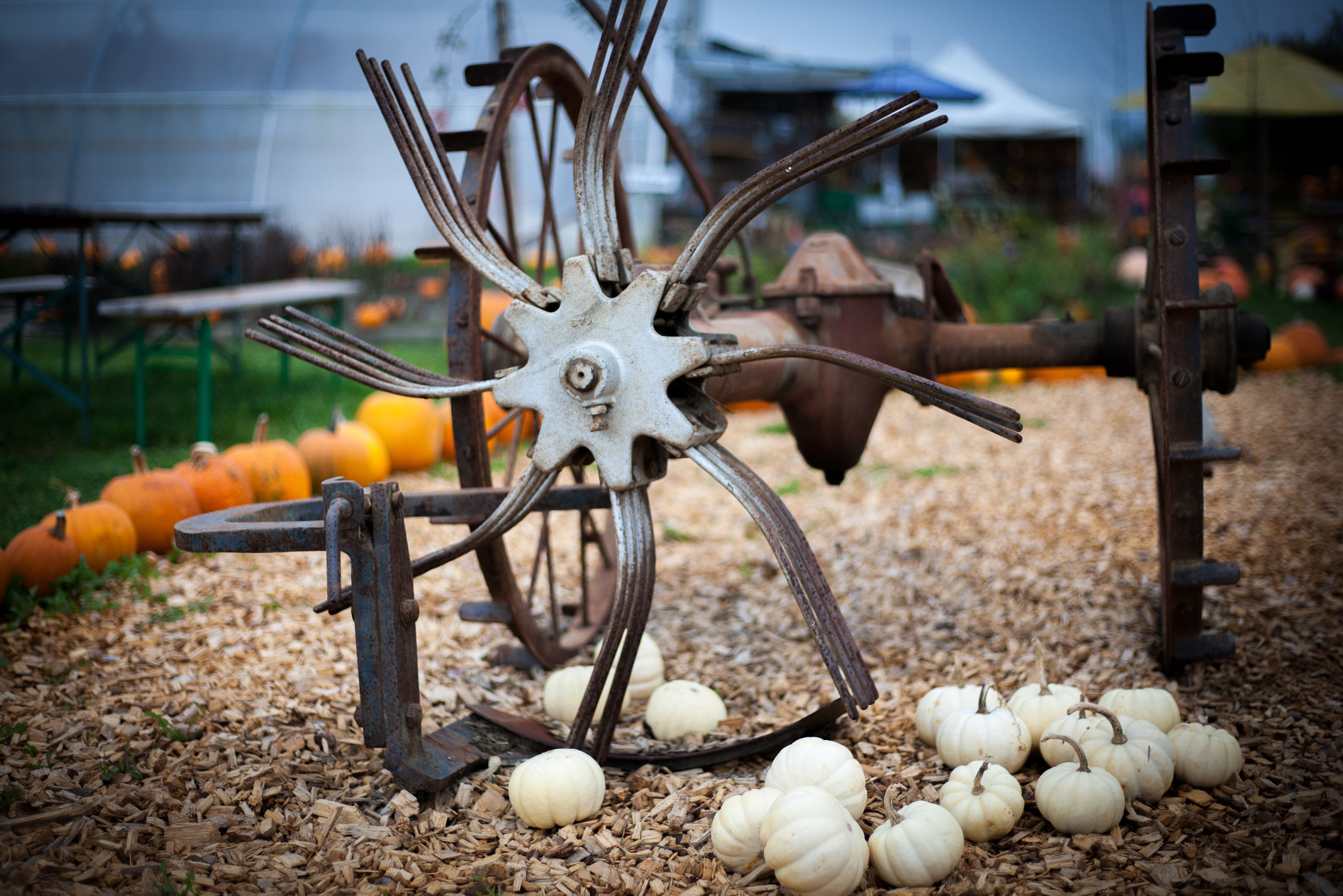 Canon EOS-1Ds Mark III sample photo. Old field machine photography