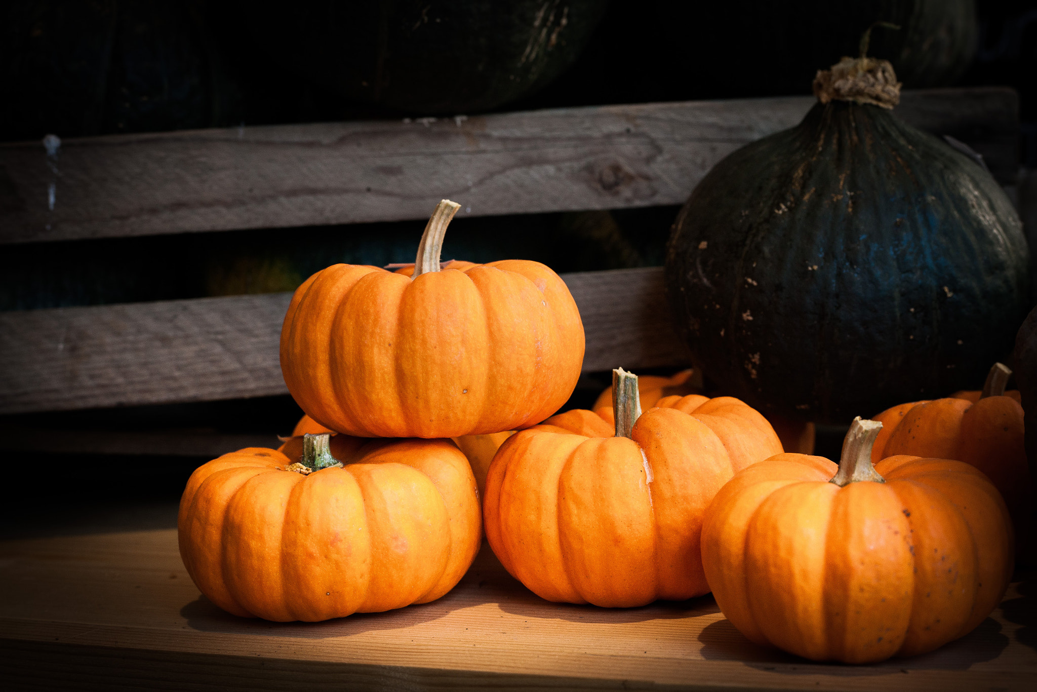 Canon EOS-1Ds Mark III sample photo. Orange pumpkins photography