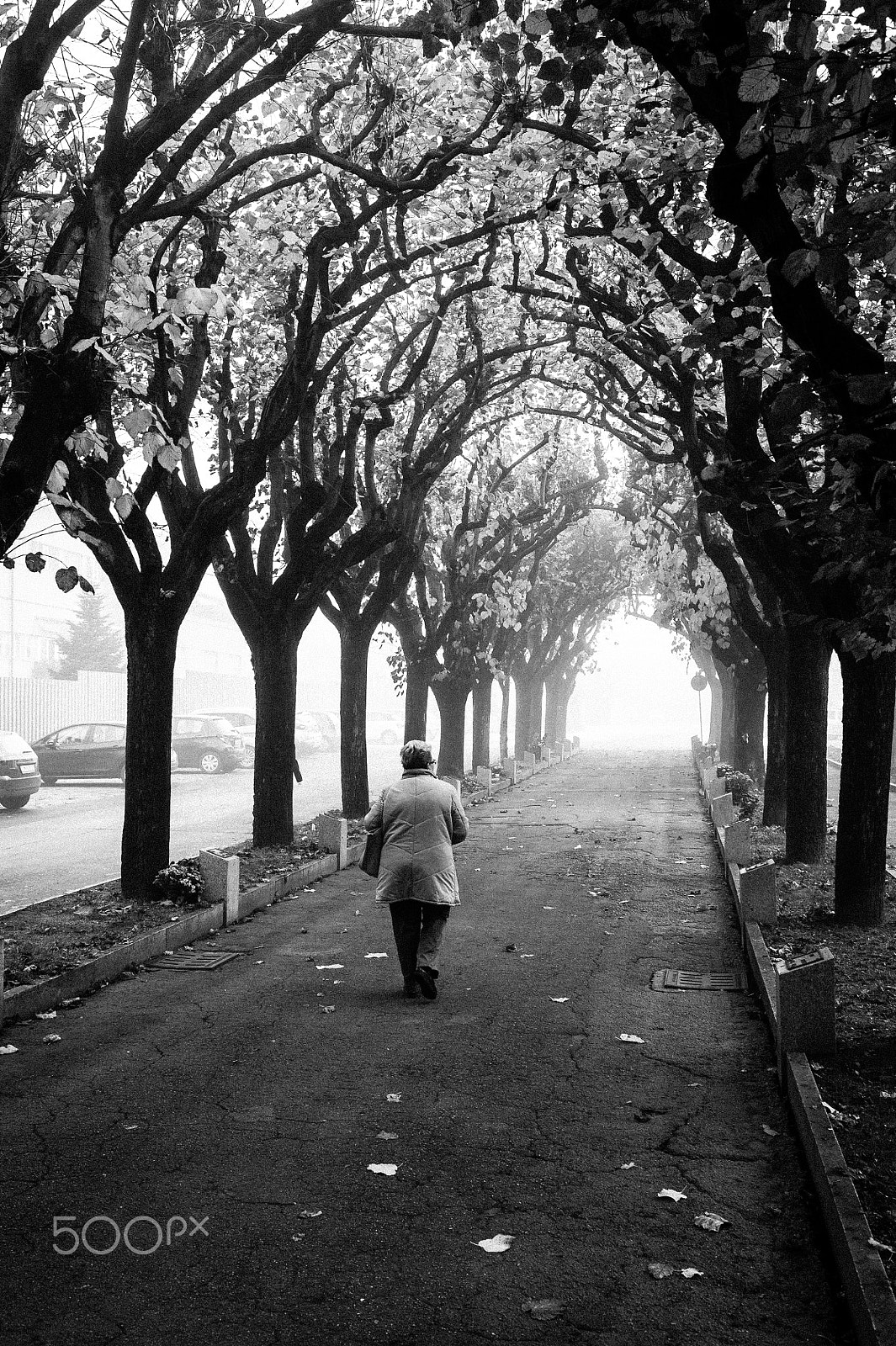 Nikon D700 + Nikon AF-S Nikkor 35mm F1.4G sample photo. My country mornings project photography