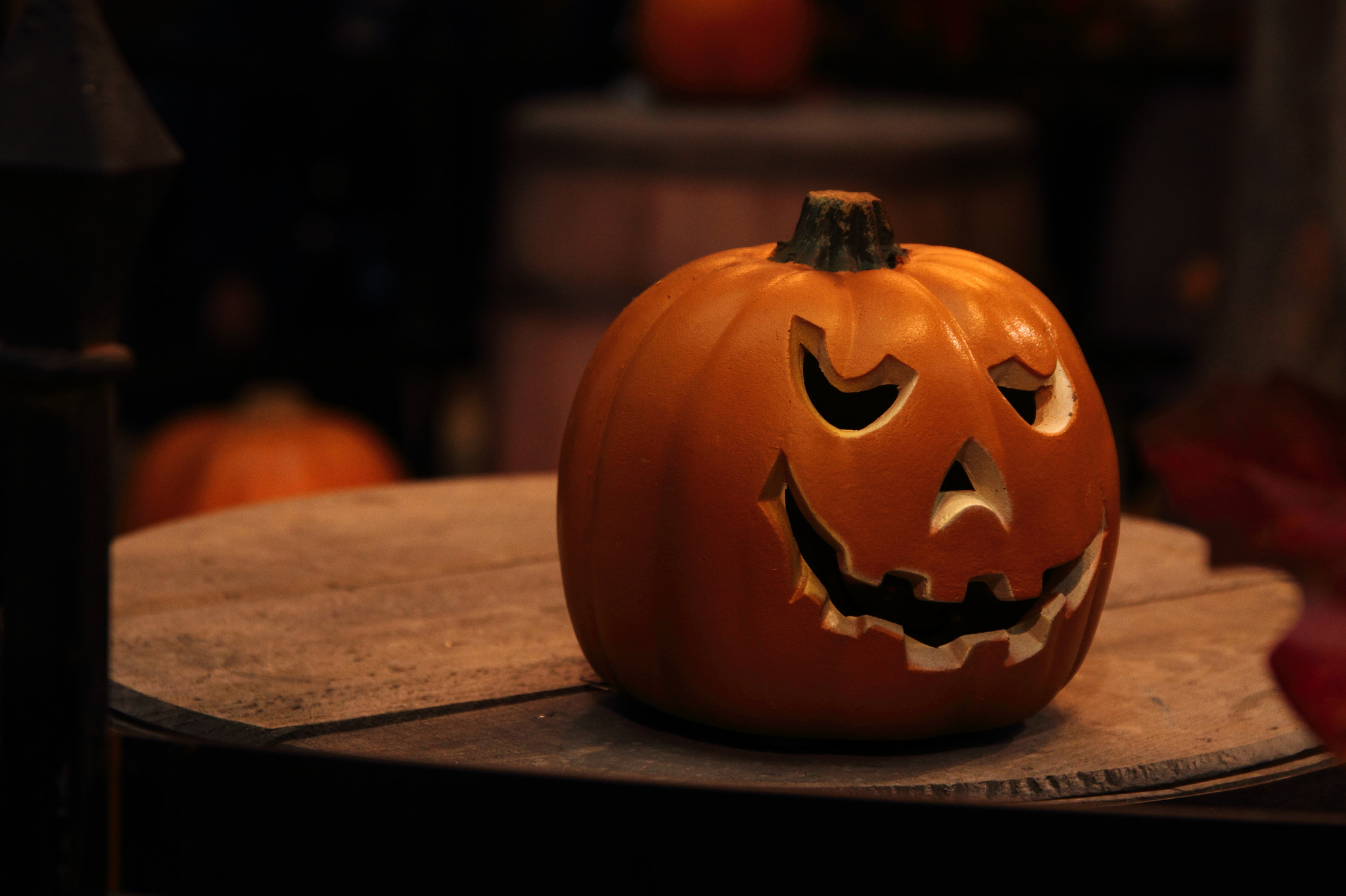 Sigma 17-70mm F2.8-4 DC Macro OS HSM sample photo. Happy halloween! photography