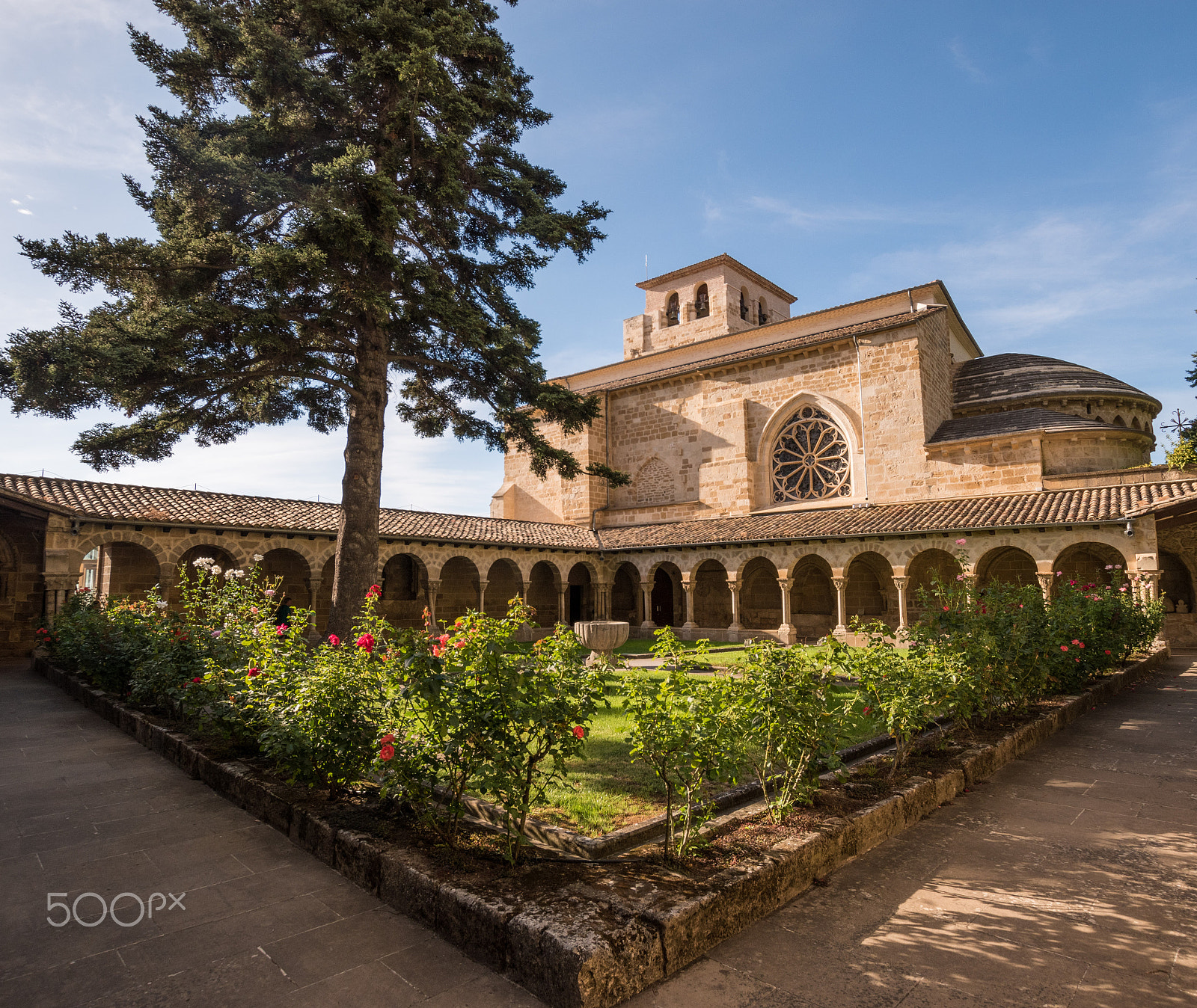 Nikon D5500 + Sigma 10-20mm F3.5 EX DC HSM sample photo. Garden in iglesia de san pedro de la rua photography
